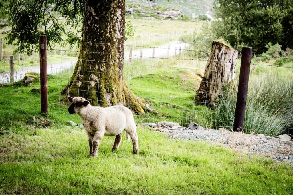 Gap of Dunloe Shepherd's Cottage