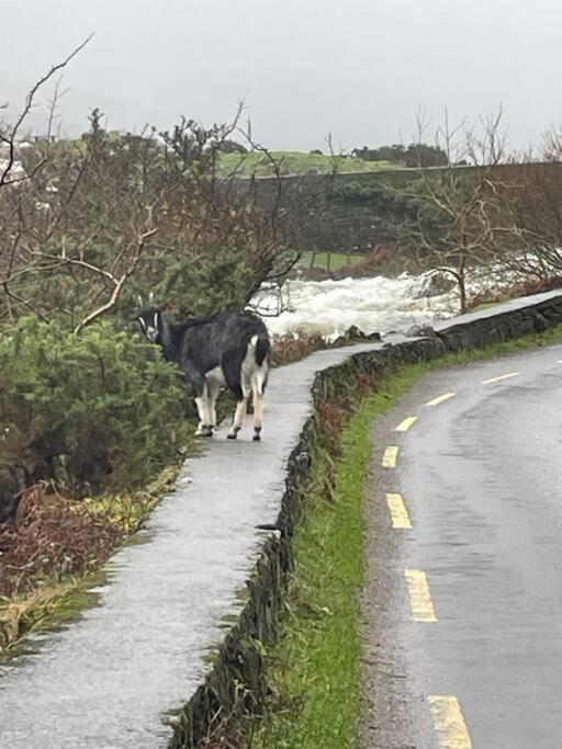 Gap of Dunloe Shepherd's Cottage