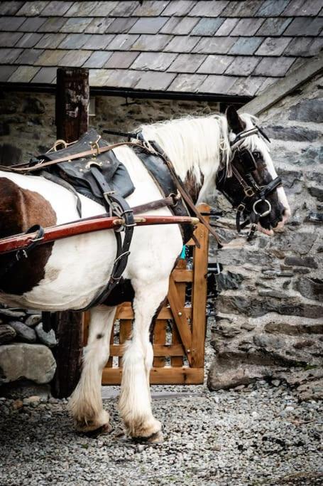 Gap of Dunloe Shepherd's Cottage
