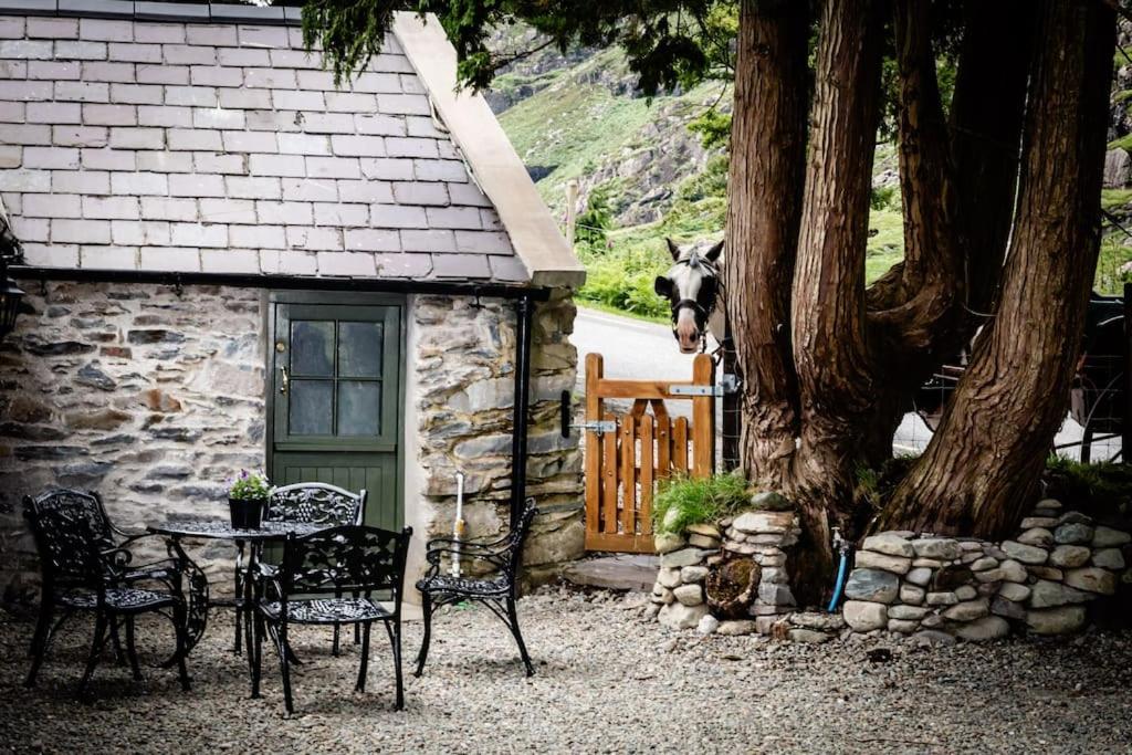Gap of Dunloe Shepherd's Cottage