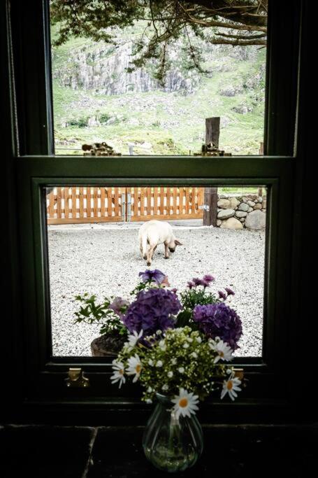 Gap of Dunloe Shepherd's Cottage