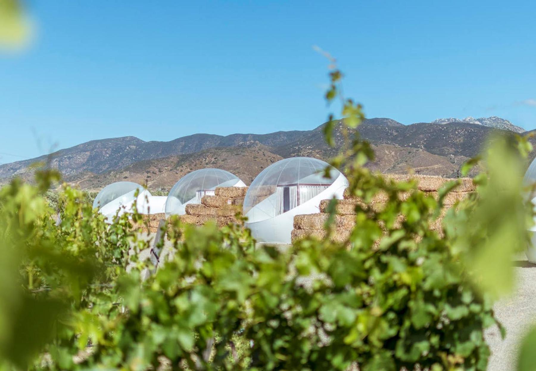 Ensenada Vacations - Campera Valle de Guadalupe - Property Image 37