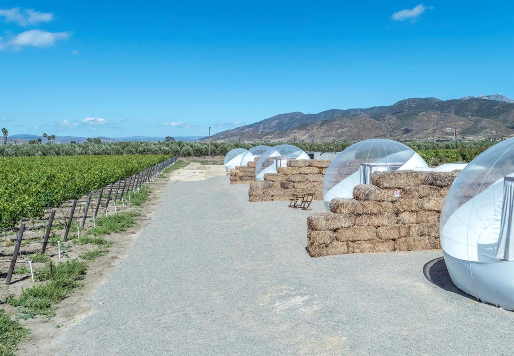 Ensenada Vacations - Campera Valle de Guadalupe - Property Image 40