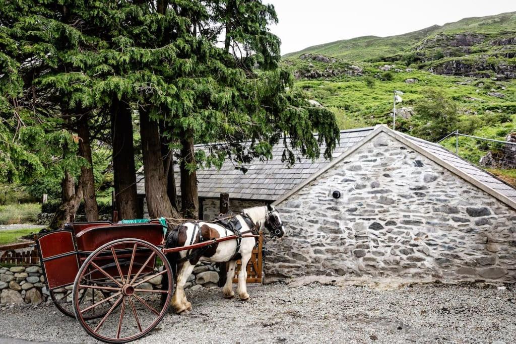 Gap of Dunloe Shepherd's Cottage
