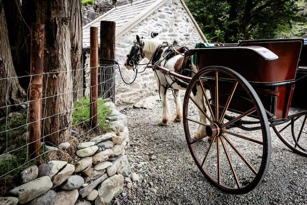 Gap of Dunloe Shepherd's Cottage