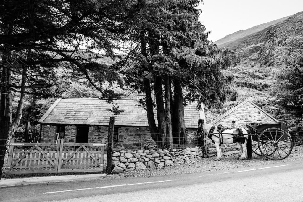 Gap of Dunloe Shepherd's Cottage