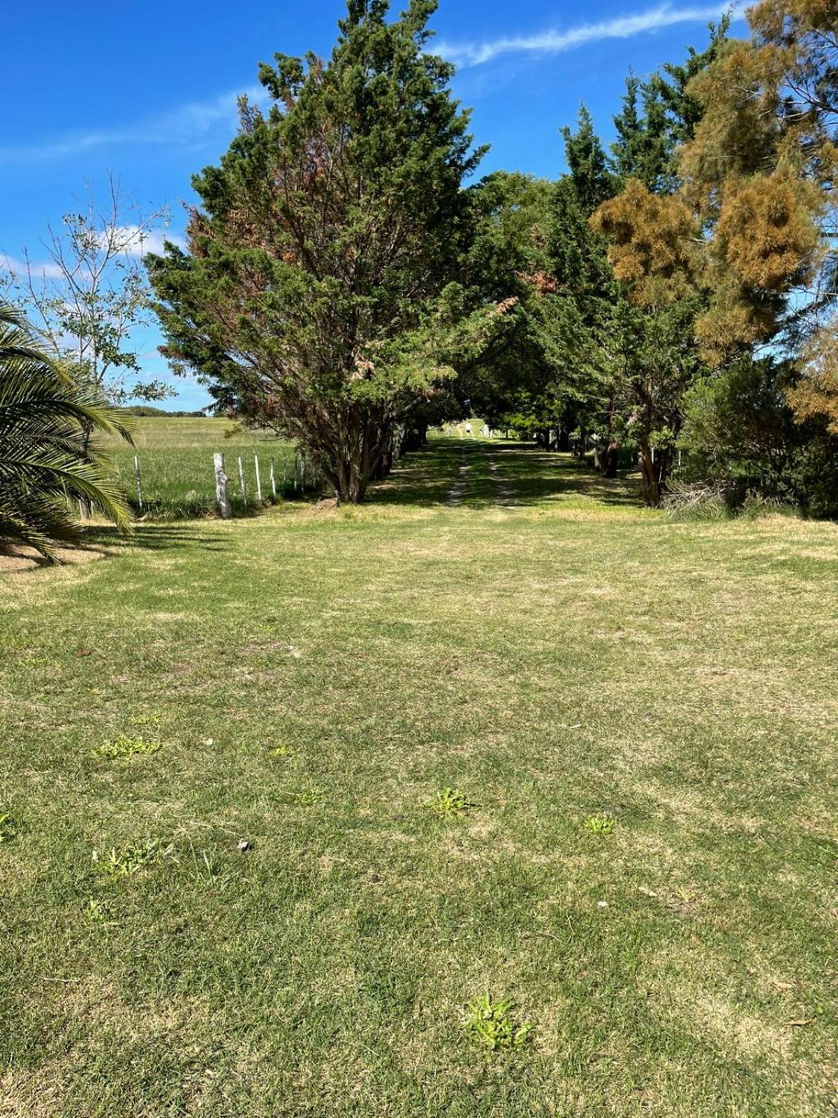 casa de campo