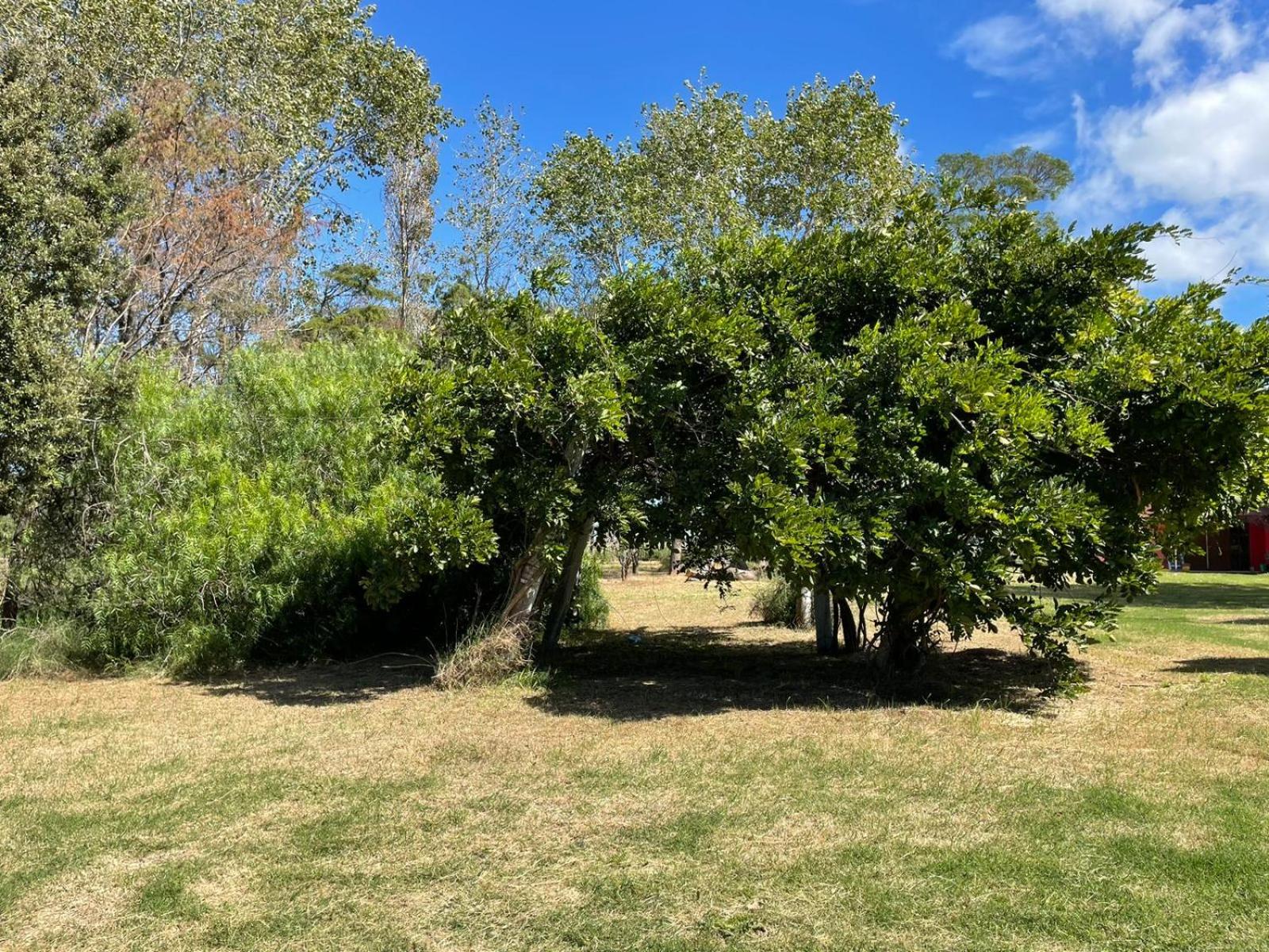 casa de campo