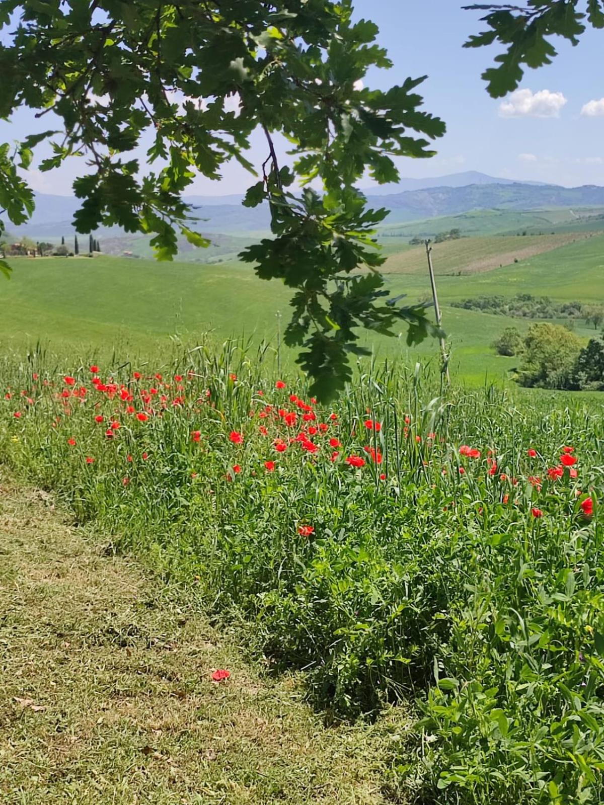 Agriturismo Il Pozzo