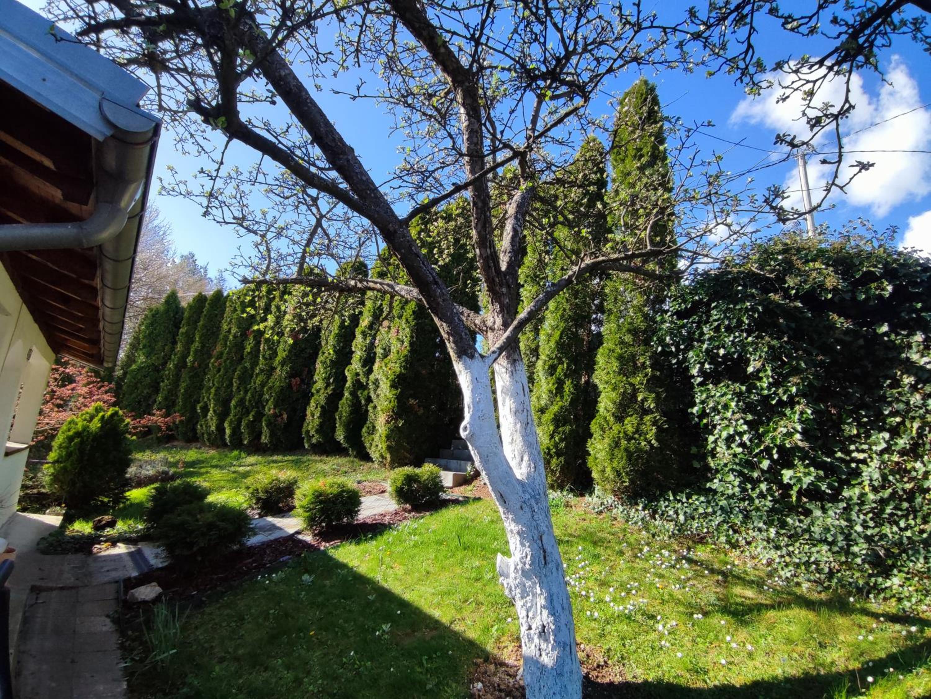 Garden House