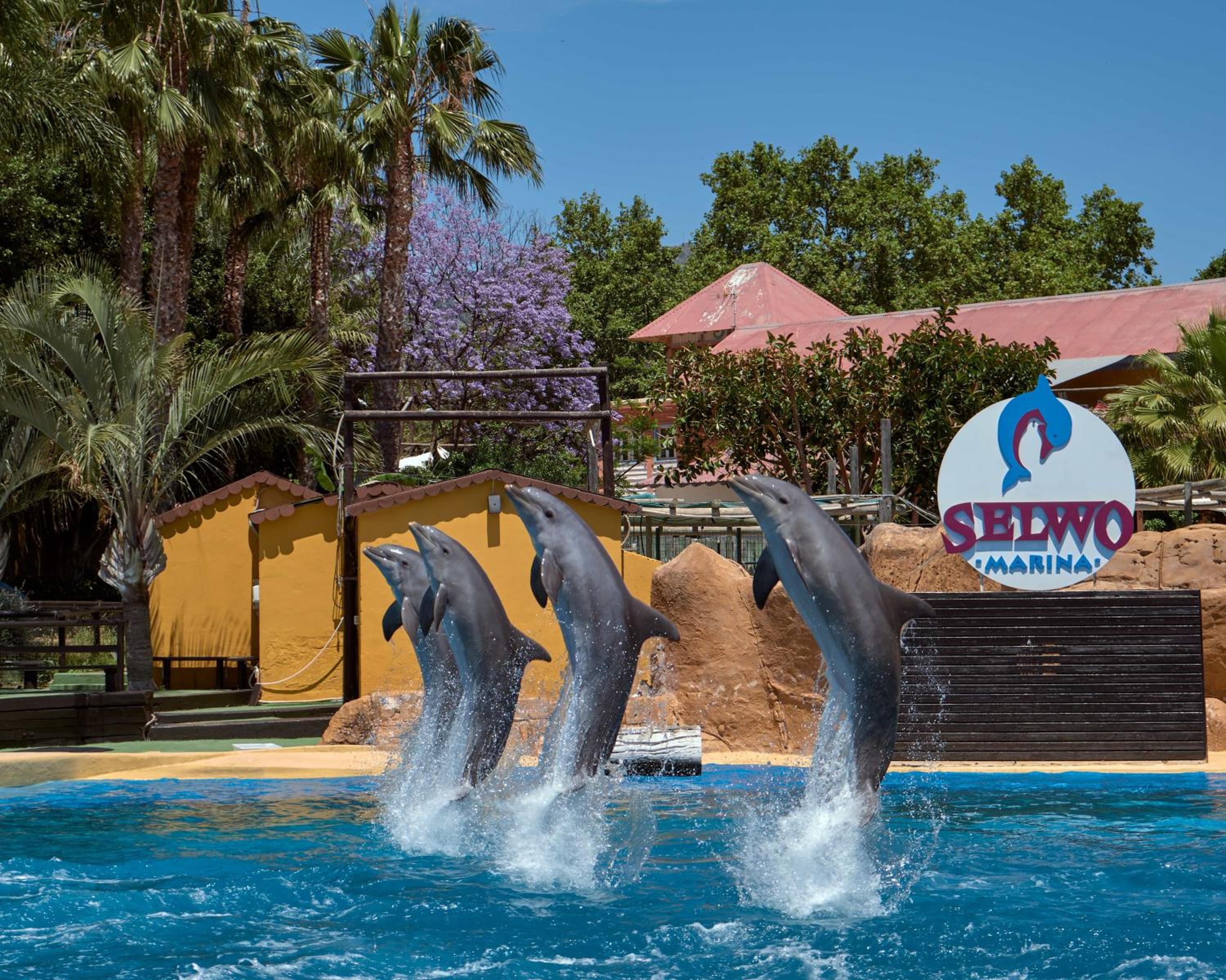 Apart Benálmadena with SWIMMING POOL open all year photo 2