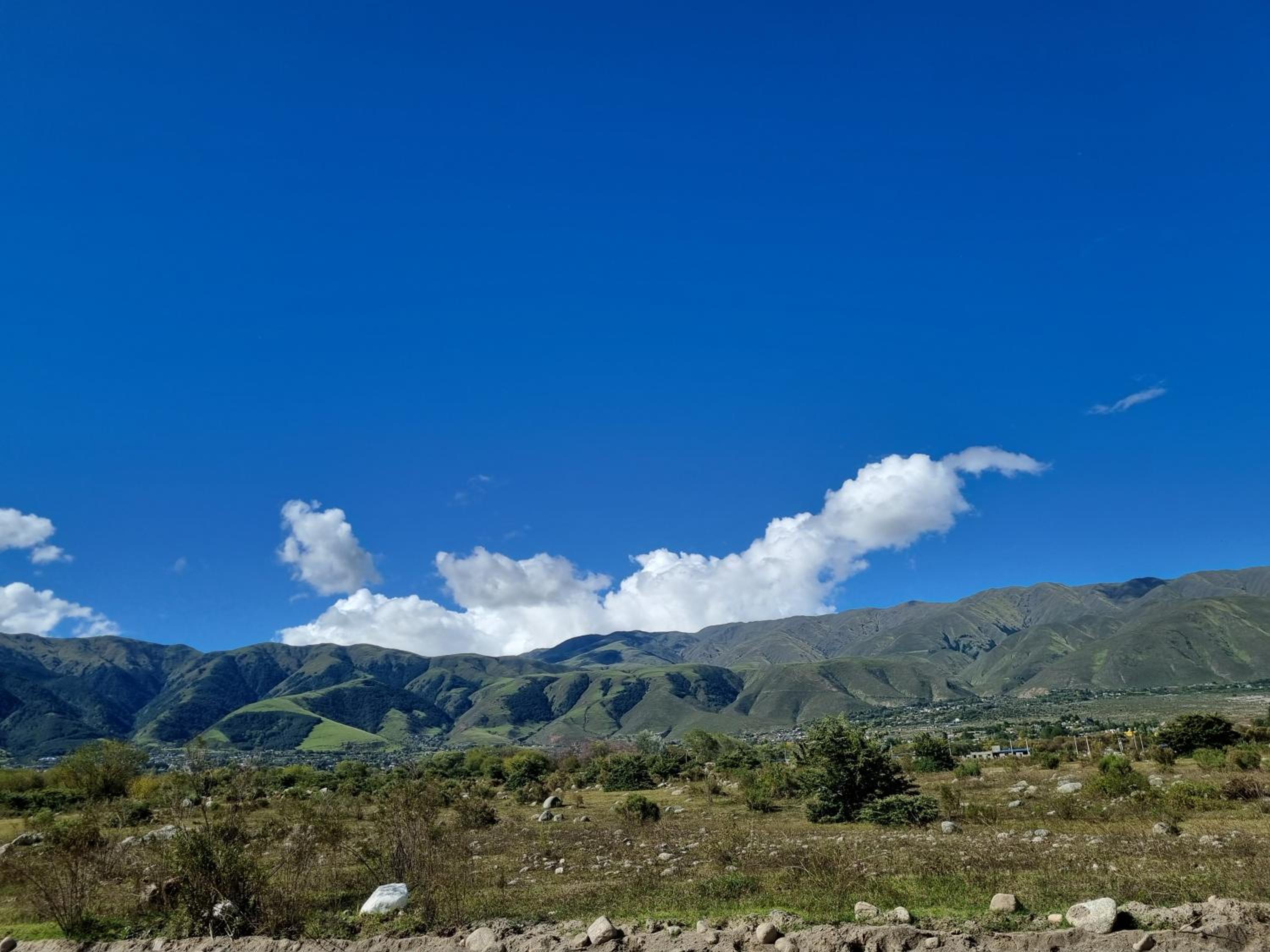LA VICTORIA TAFI