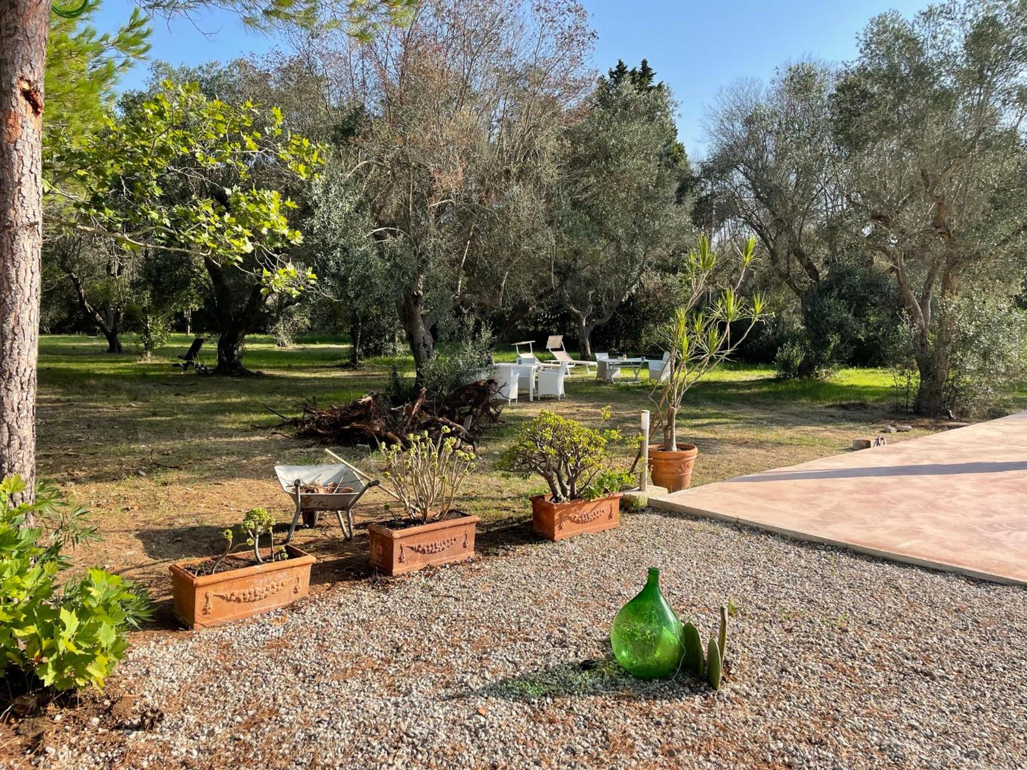 Tenuta Palmarini