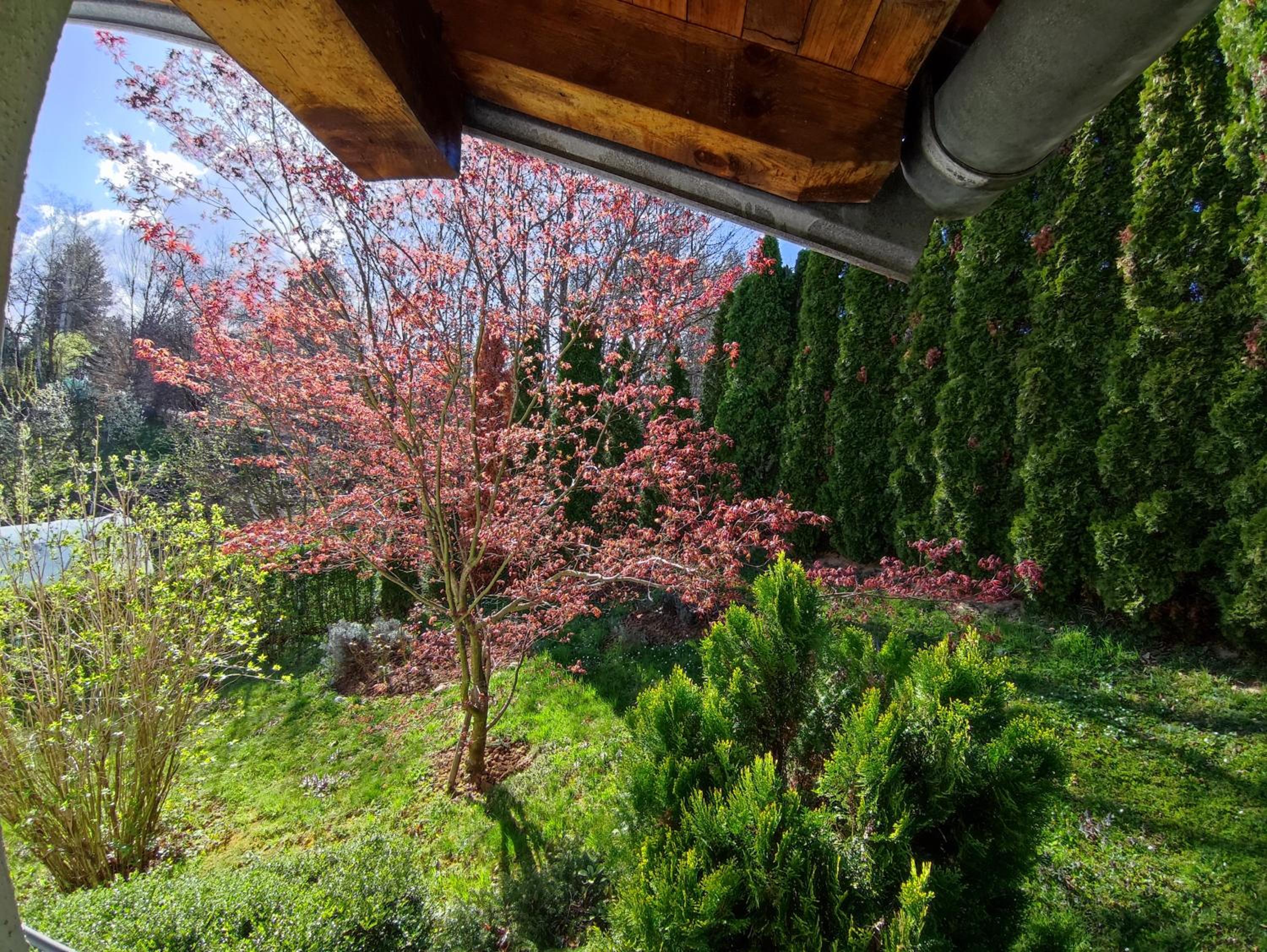 Garden House