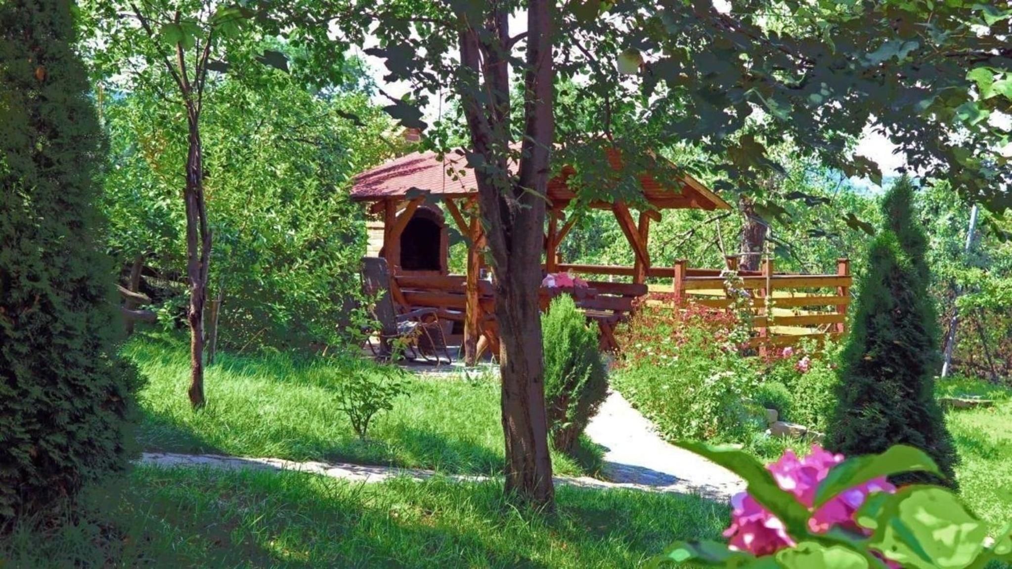 Photo 7
