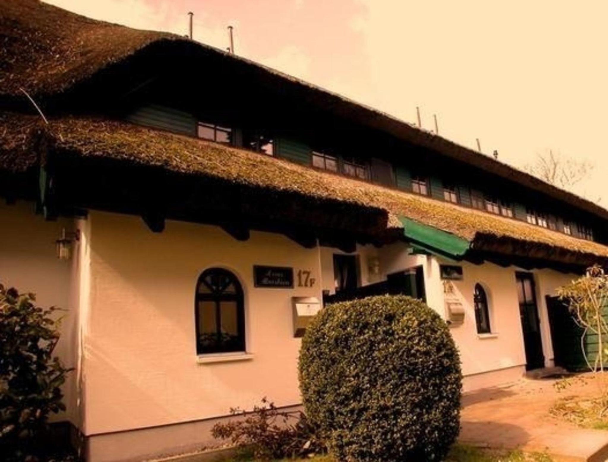 Haus Strandflieder