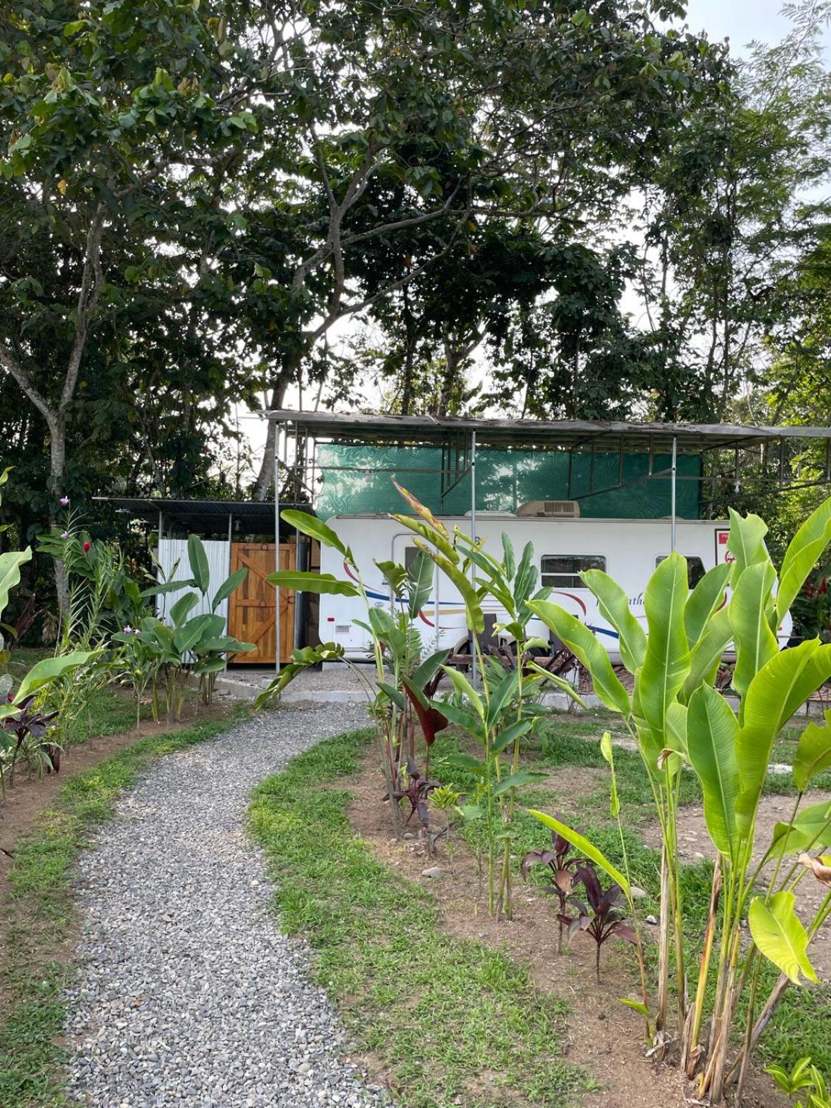Ciudad Rodante La Fortuna , ave 309
