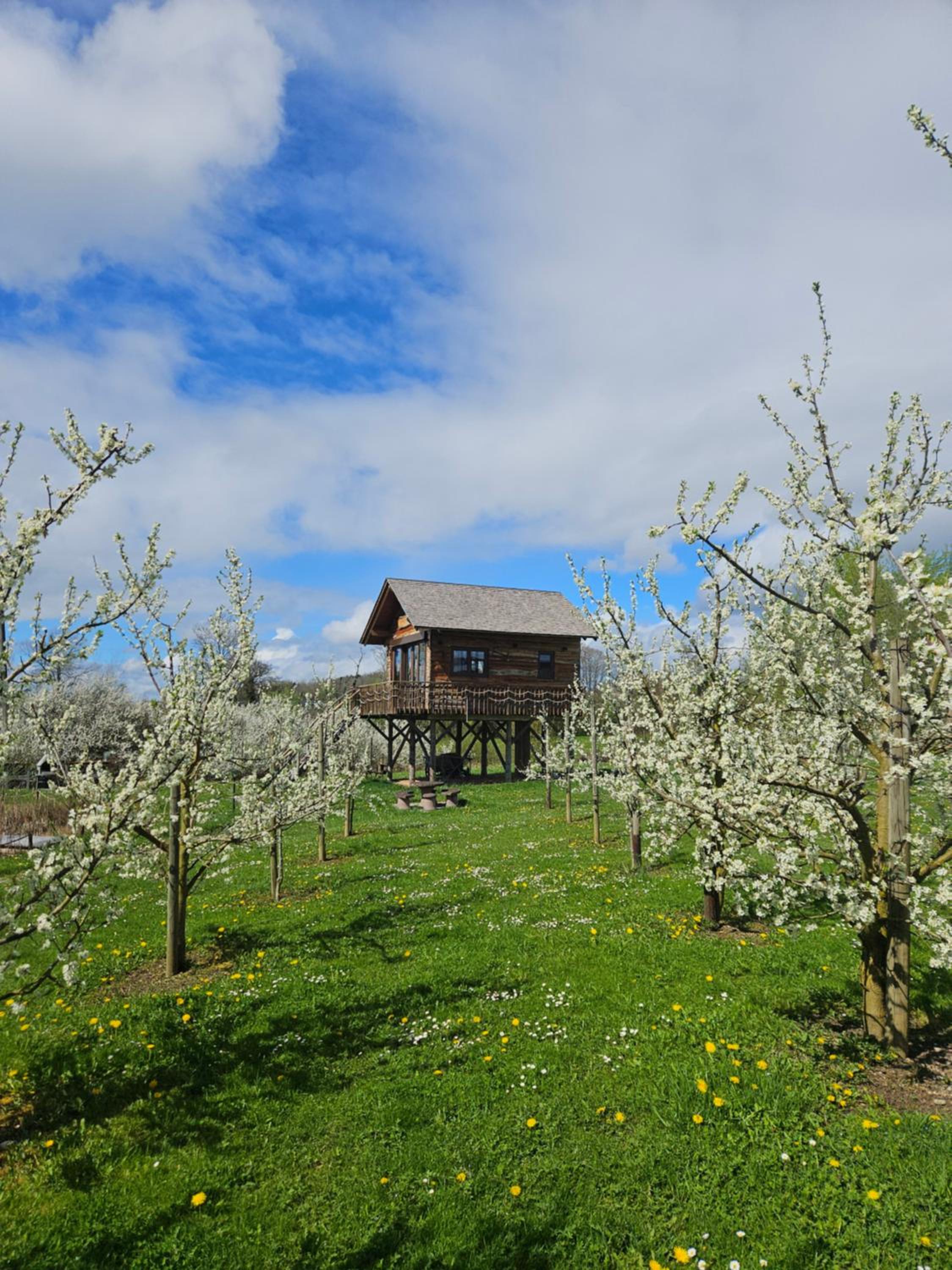Baumhaus Heuhütte