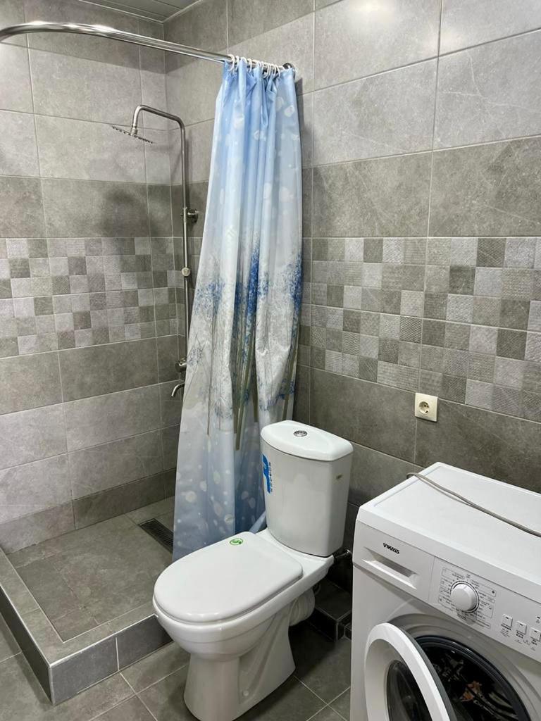 Comfy Apartment in the Centre