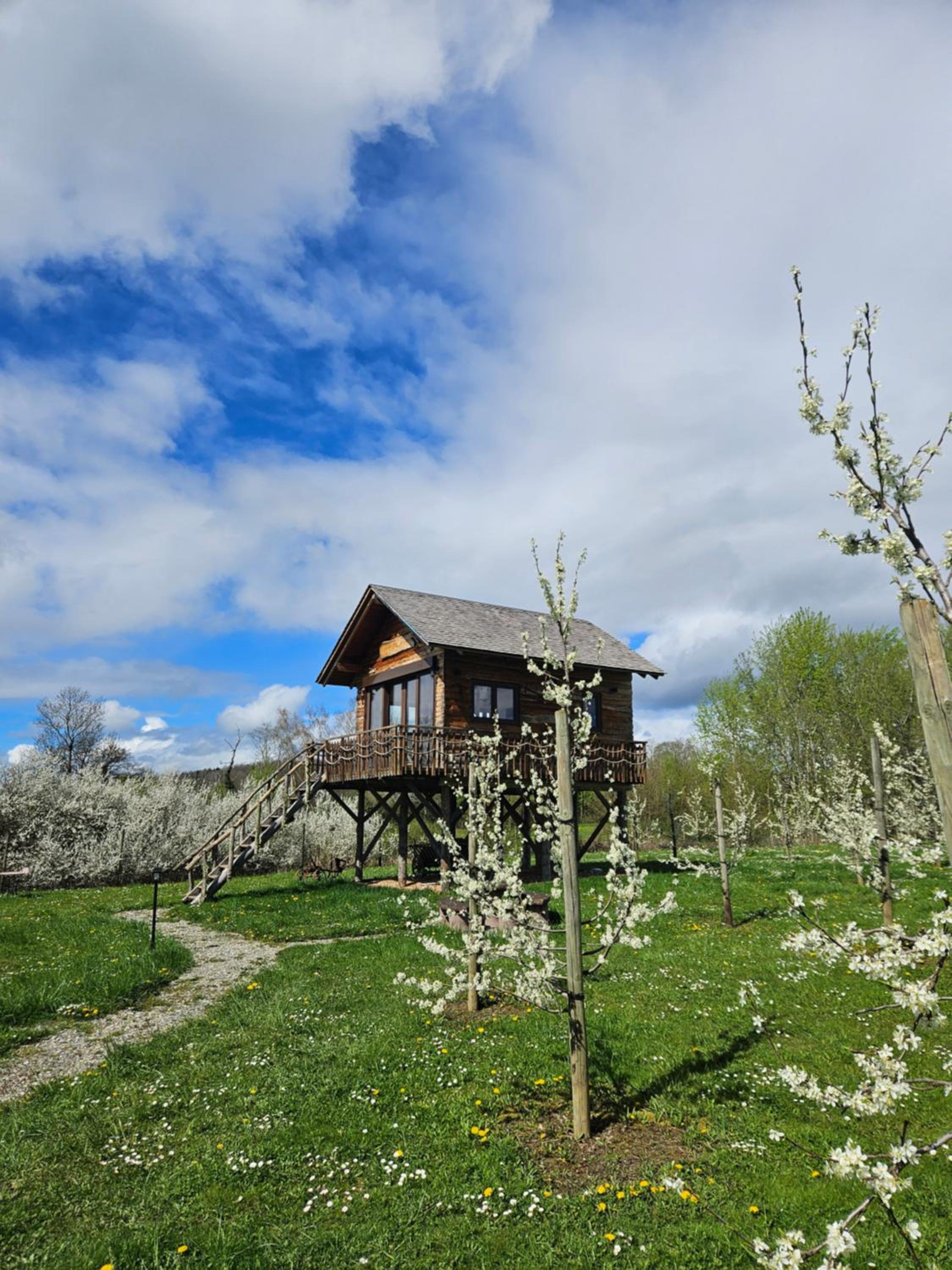 Baumhaus Heuhütte