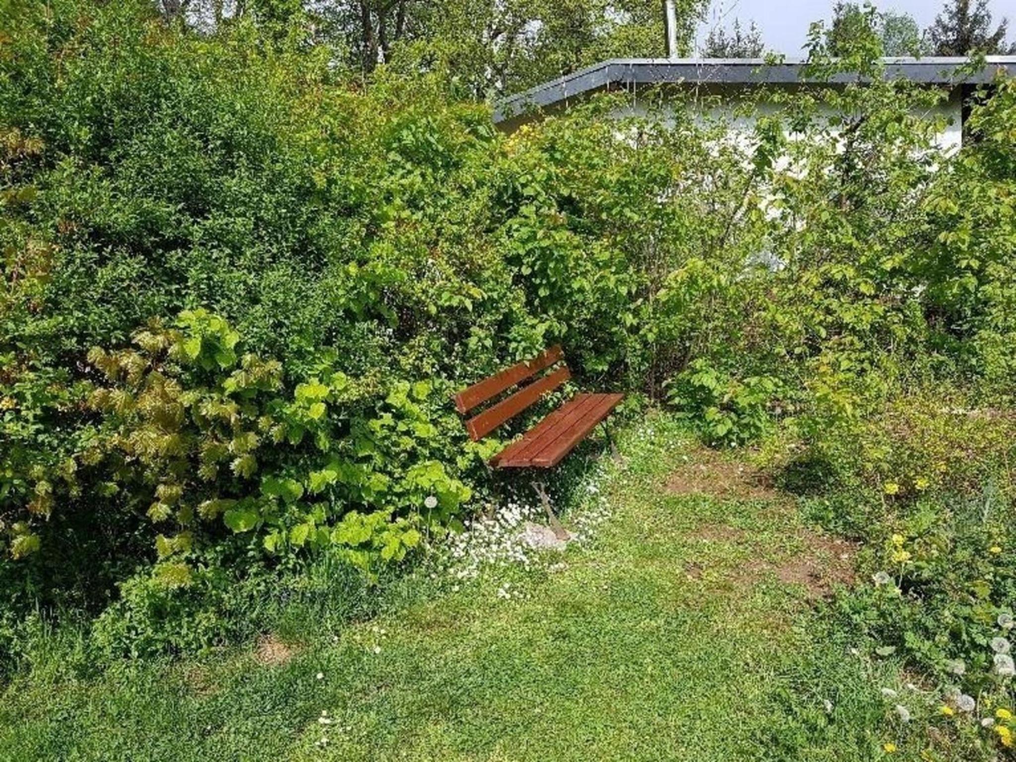 Buchengrund