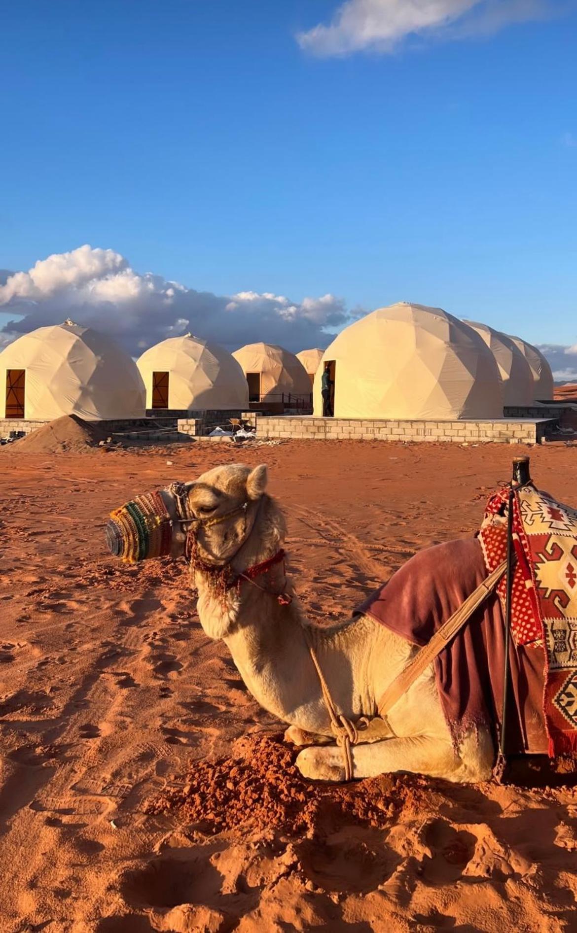 Wadi rum JEWEL camp