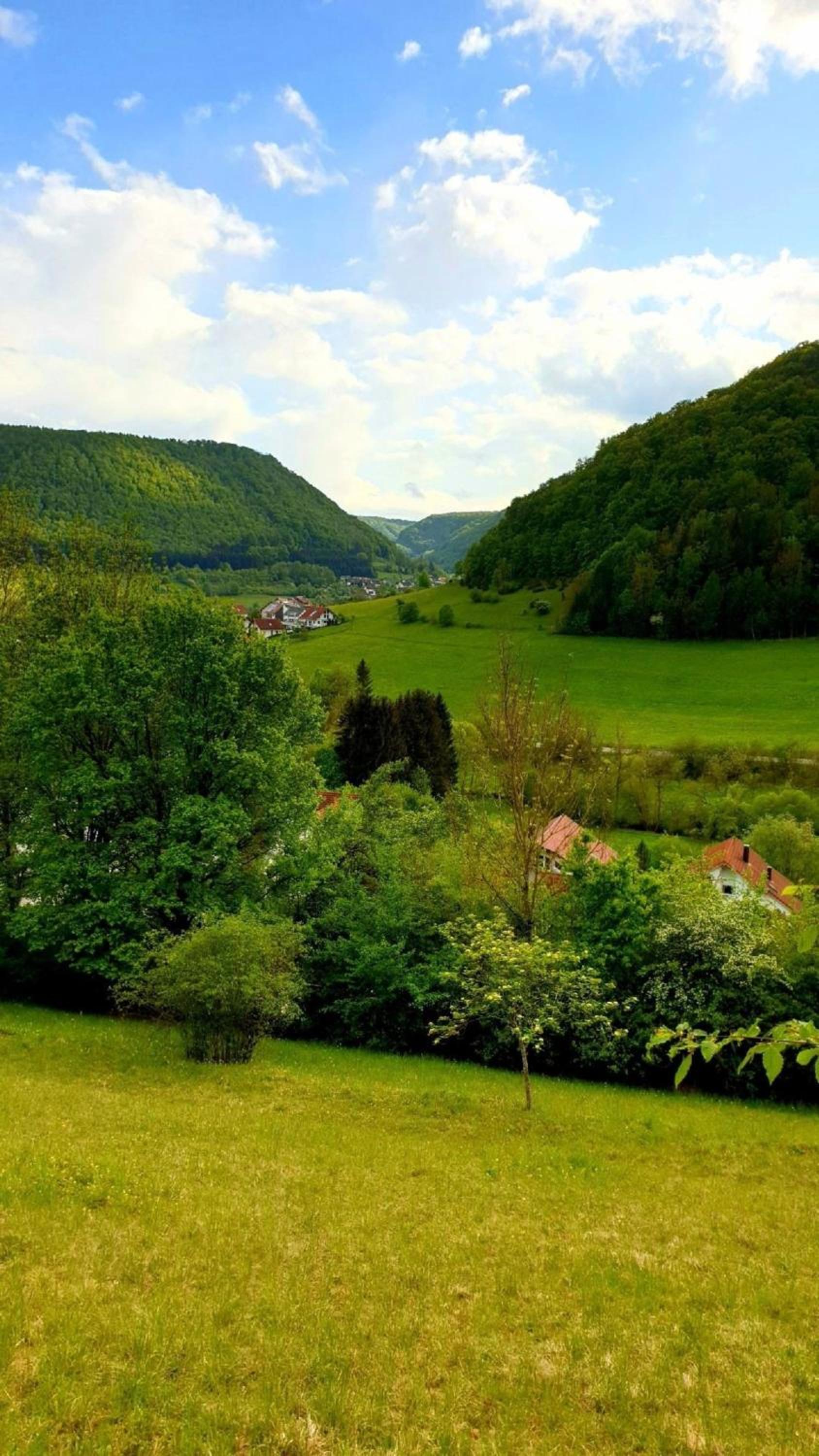 Wohnung in Bad Ditzenbach mit Eigenem Garten