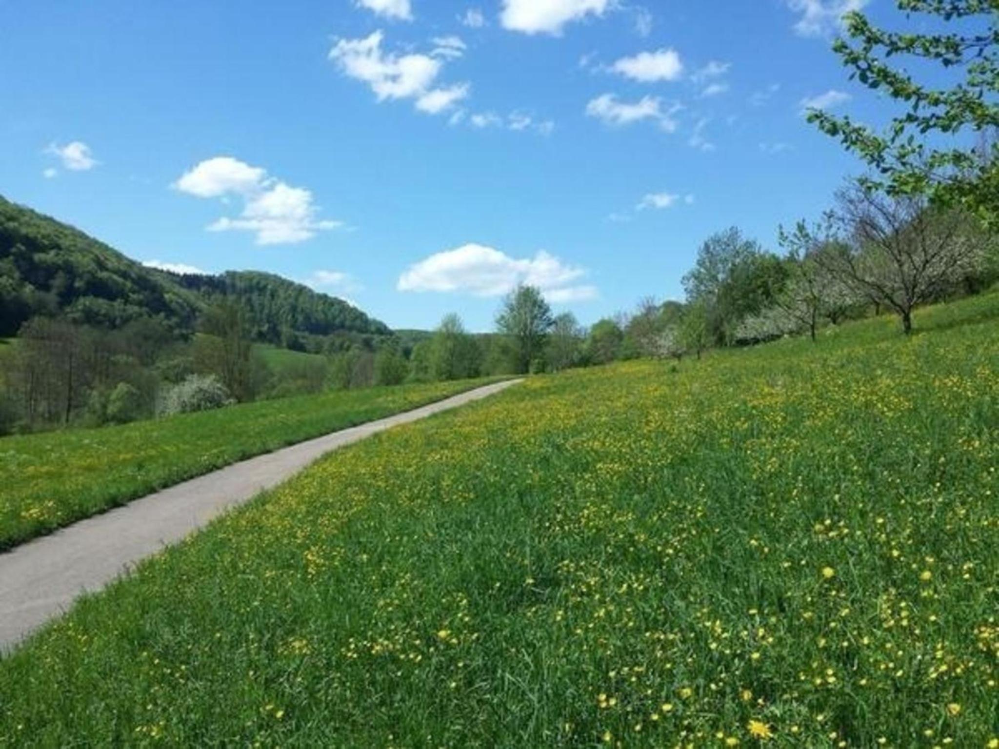 Wohnung in Bad Ditzenbach mit Eigenem Garten