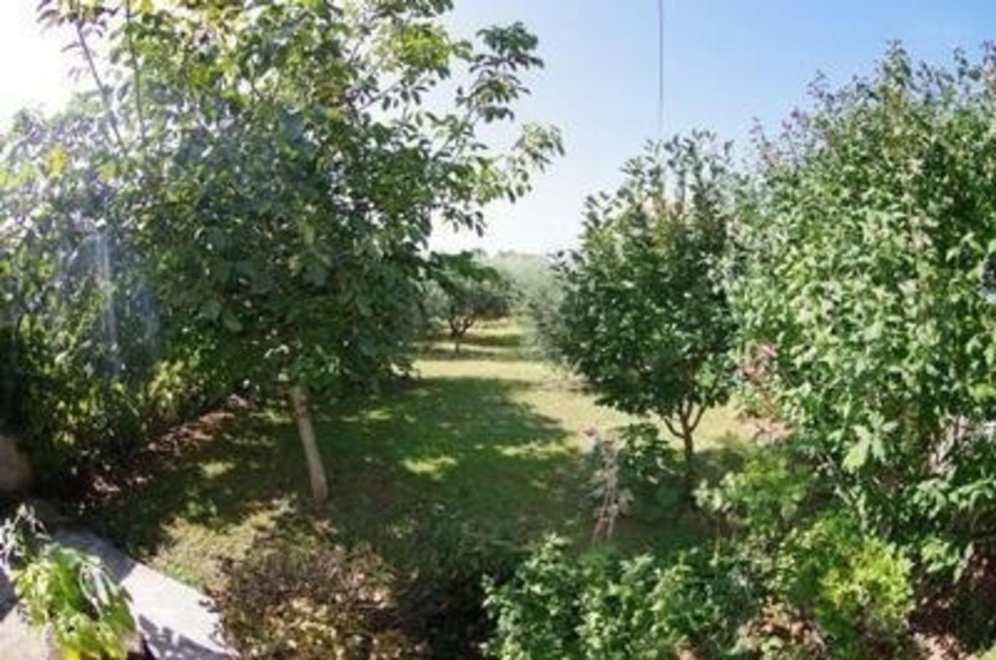Ferienhaus in Rakalj mit Grill, Garten und Terrasse