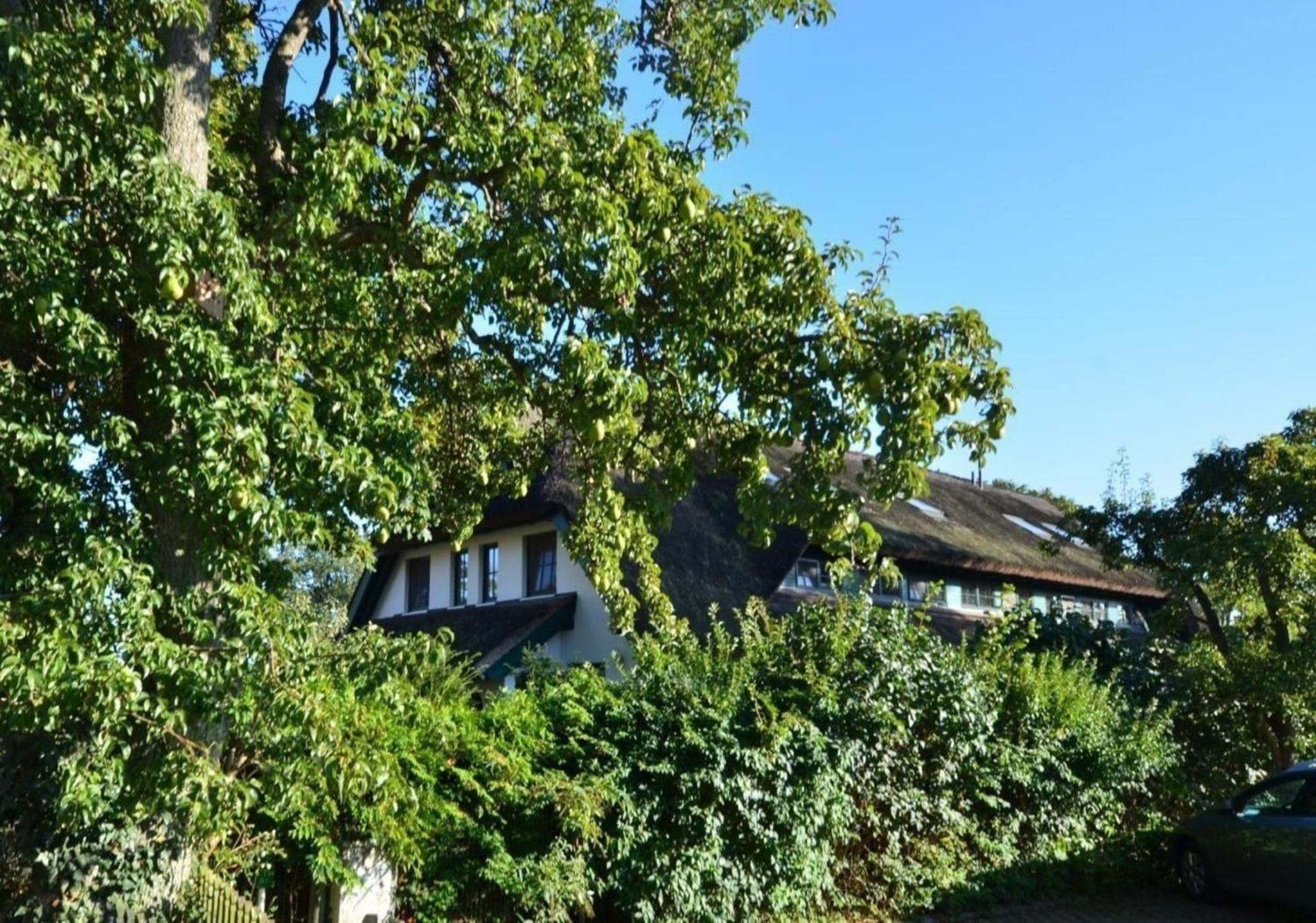 Haus Strandhafer