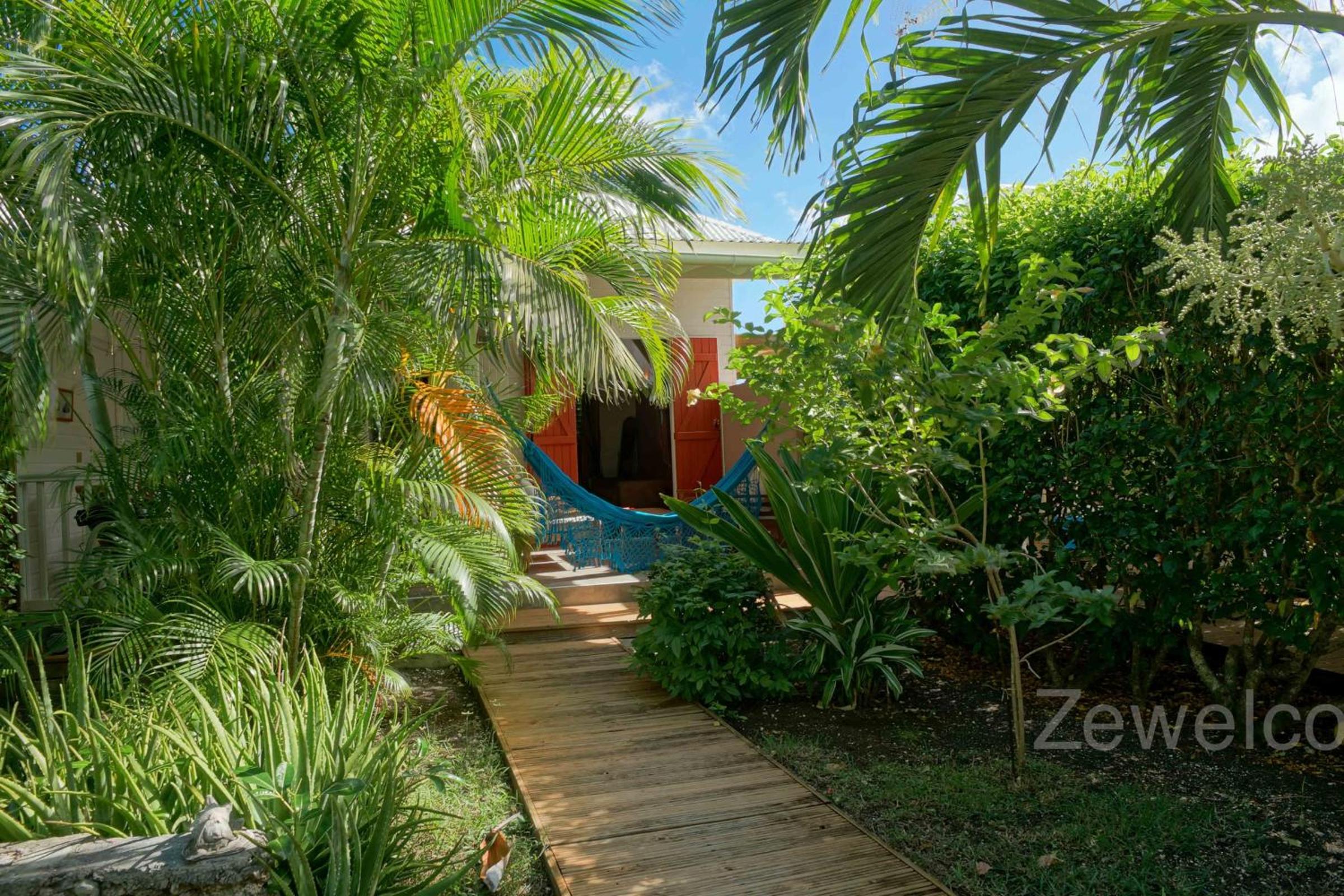 Bungalow Palm