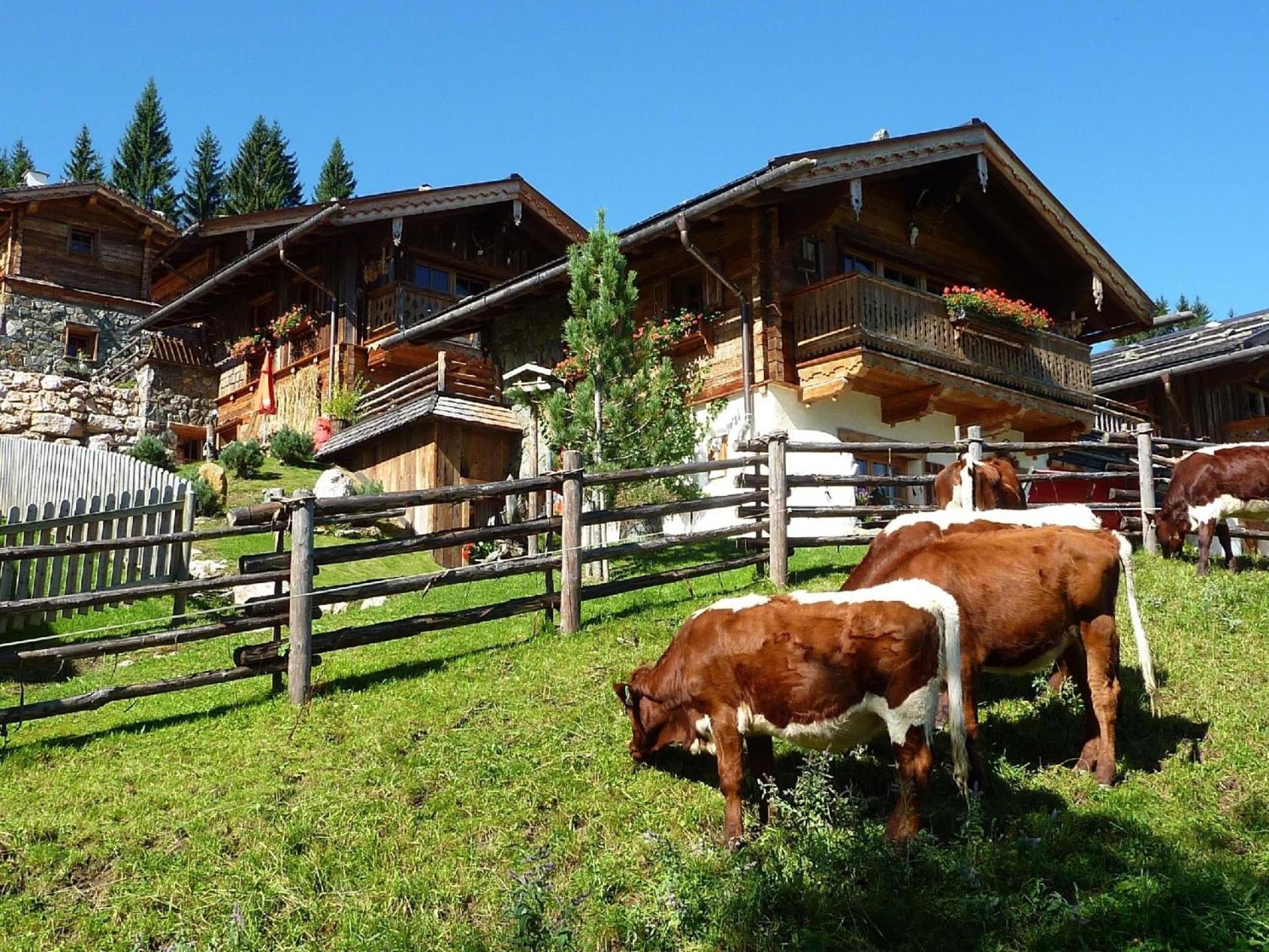 Ferienhaus im Almdorf in Flachau - a81061