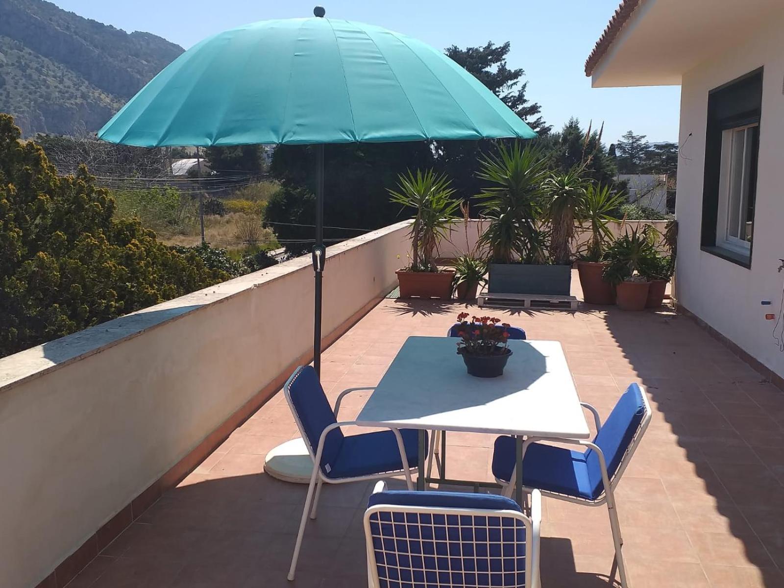 Rosalba apartments - cheap and characteristic