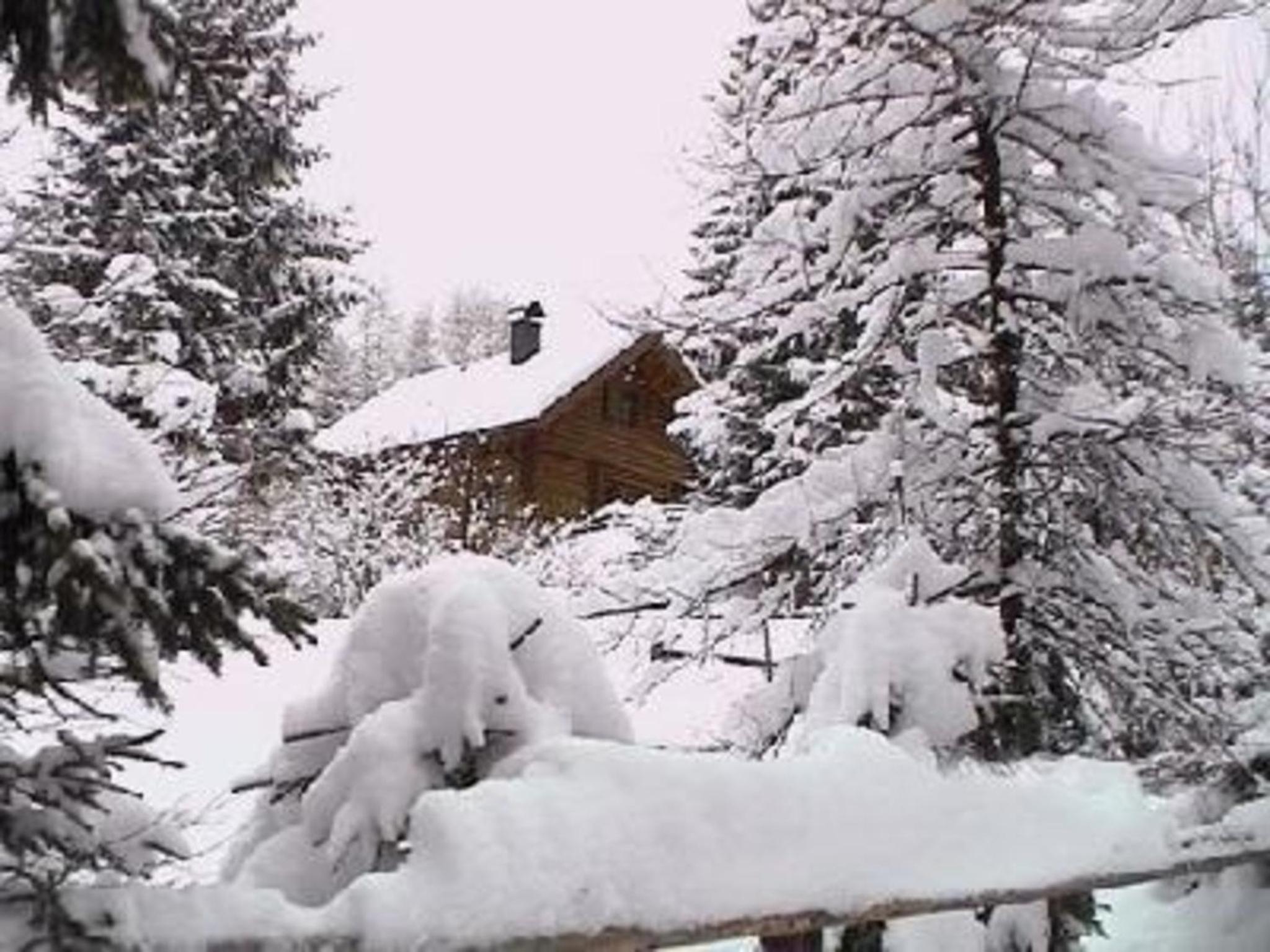 Ferienhaus Stoakoglhütte in Klippitztörl