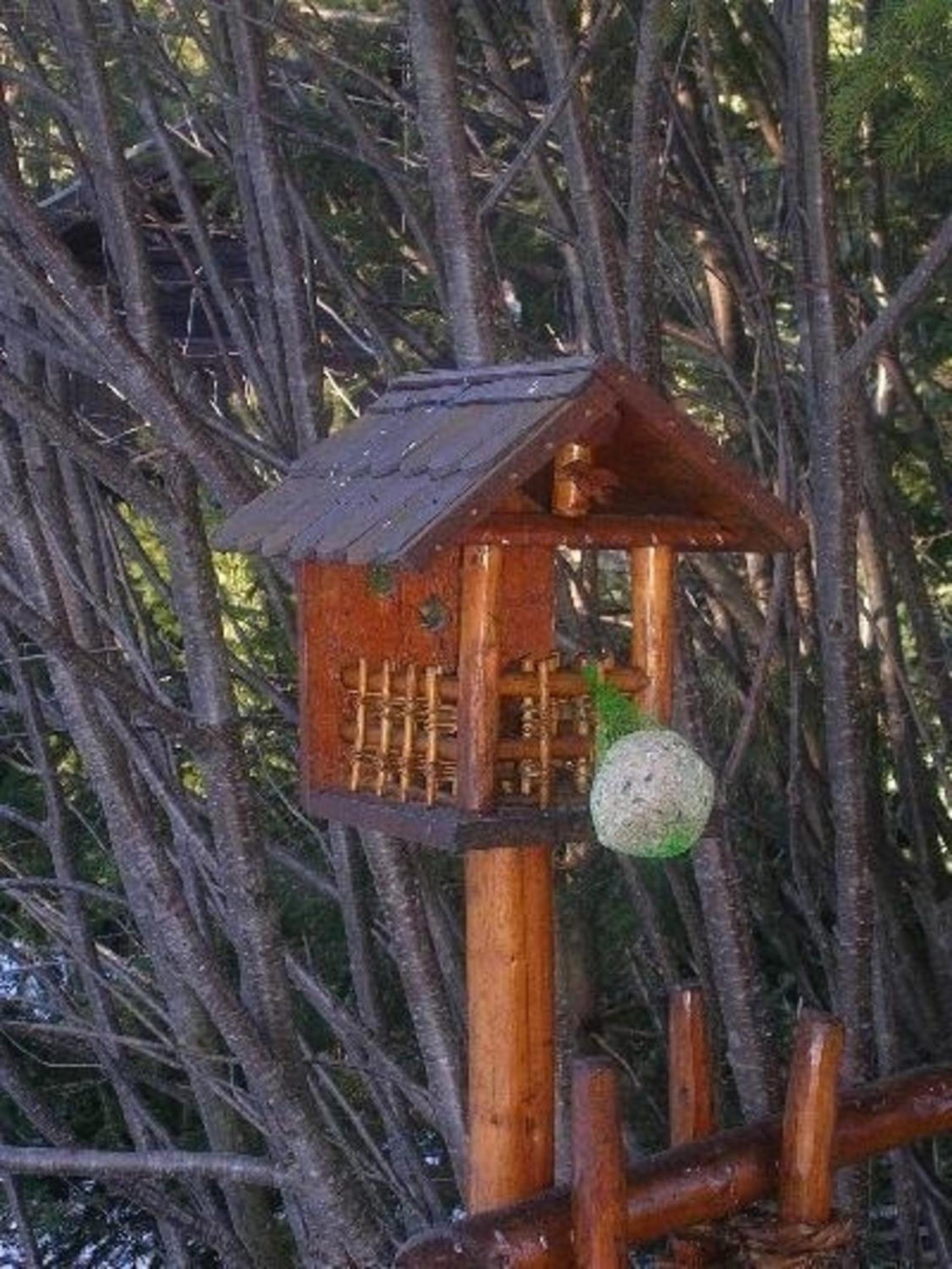 Ferienhaus Stoakoglhütte in Klippitztörl