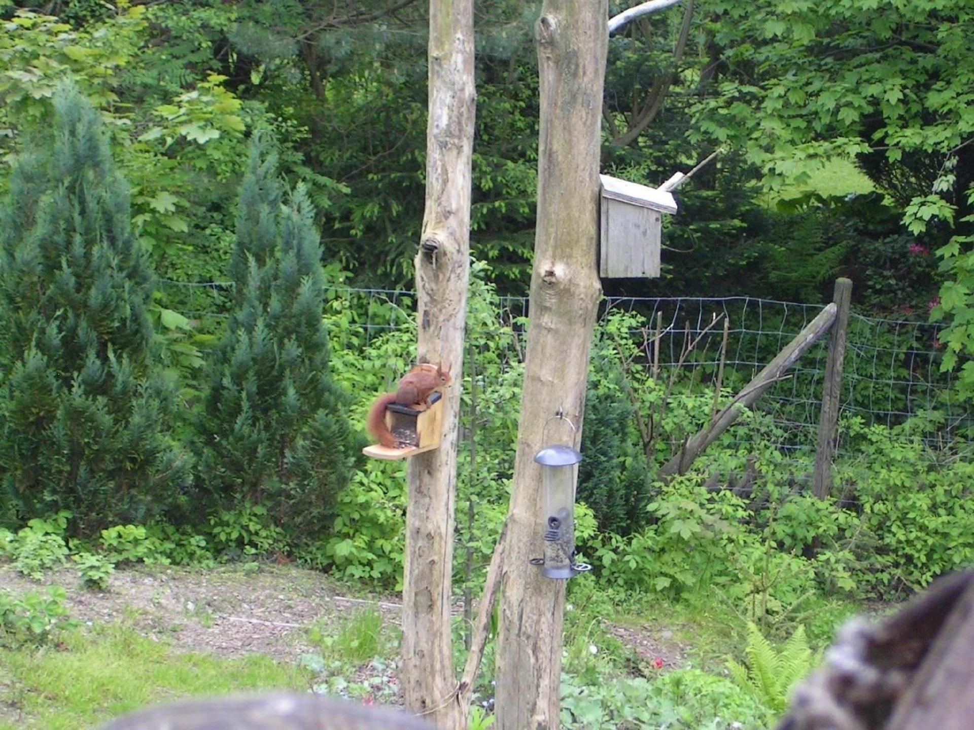 Großzügige Ferienwohnung mit großem Garten - Partner des Nationalparks Harz