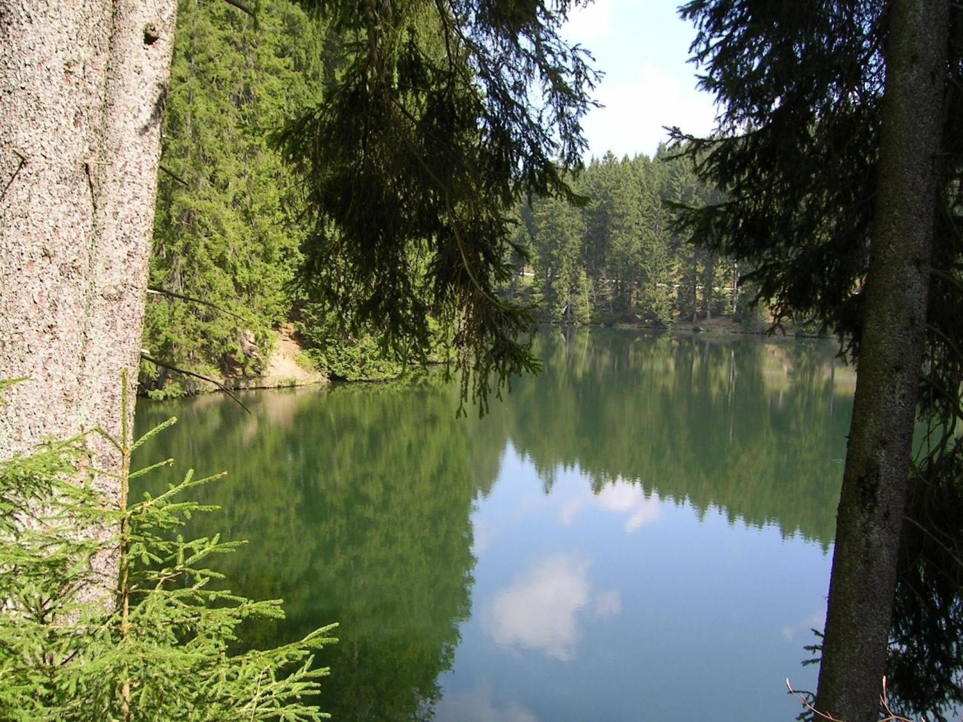 Großzügige Ferienwohnung mit großem Garten - Partner des Nationalparks Harz