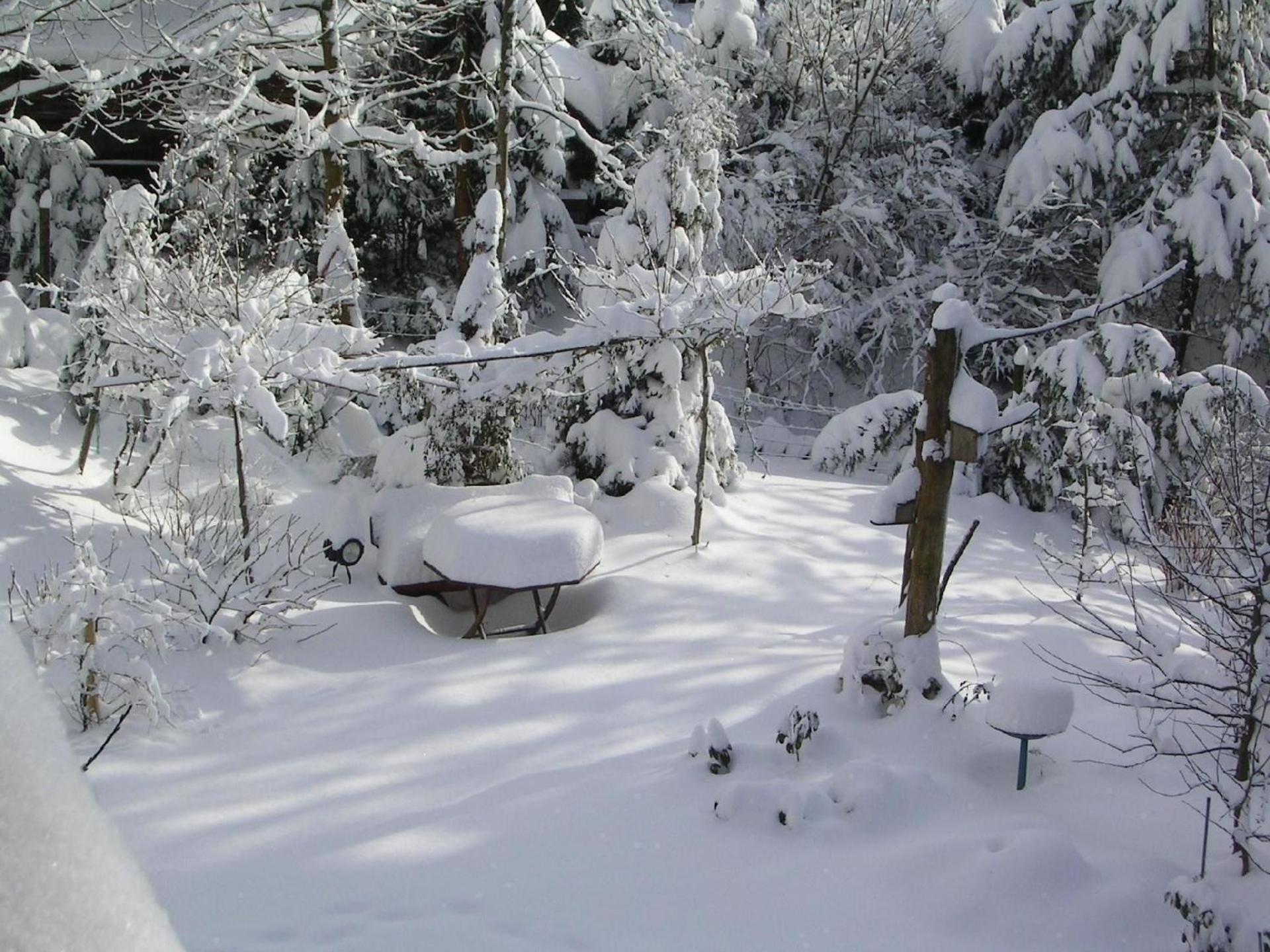 Großzügige Ferienwohnung mit großem Garten - Partner des Nationalparks Harz