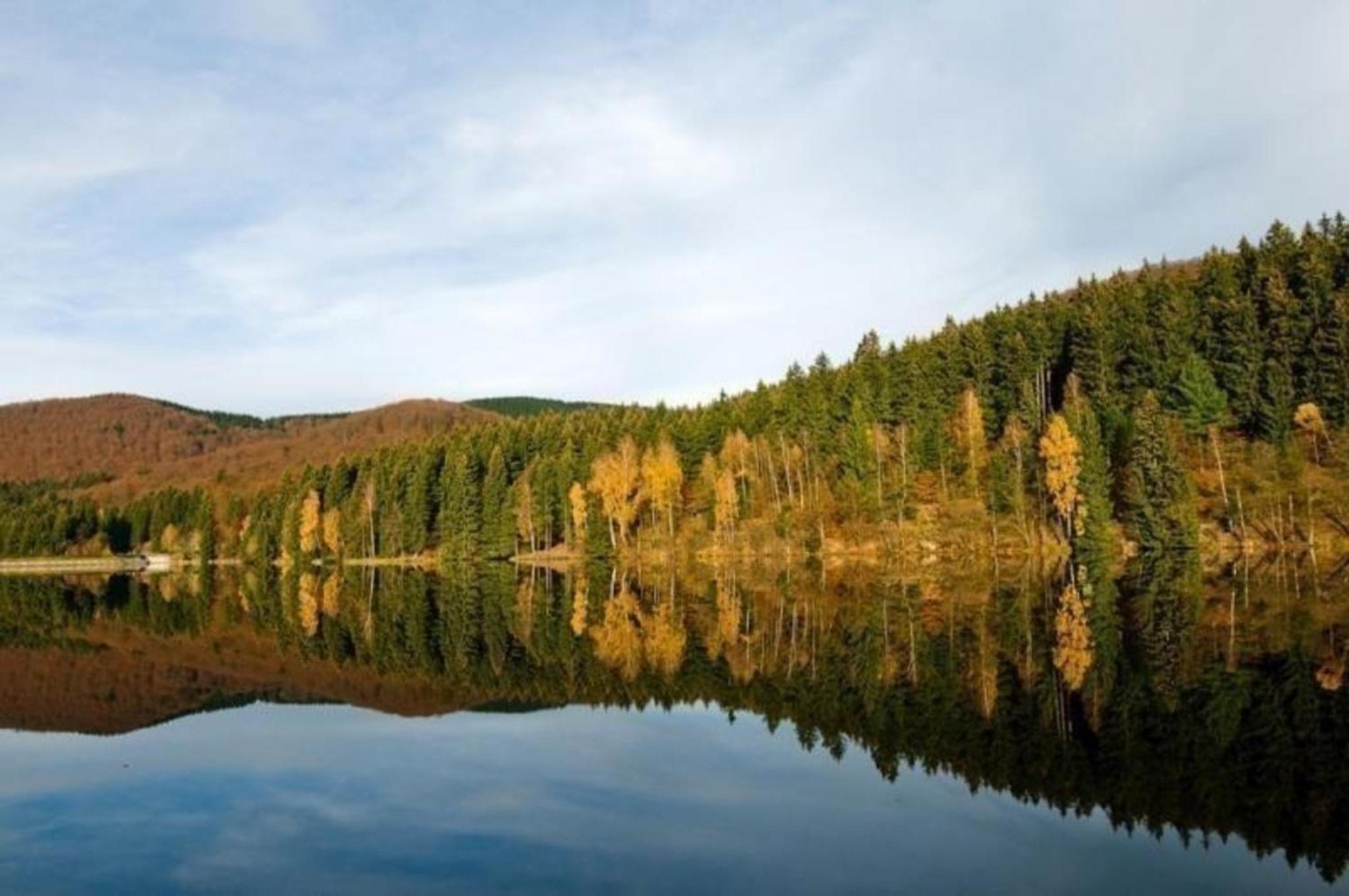 Großzügige Ferienwohnung mit großem Garten - Partner des Nationalparks Harz
