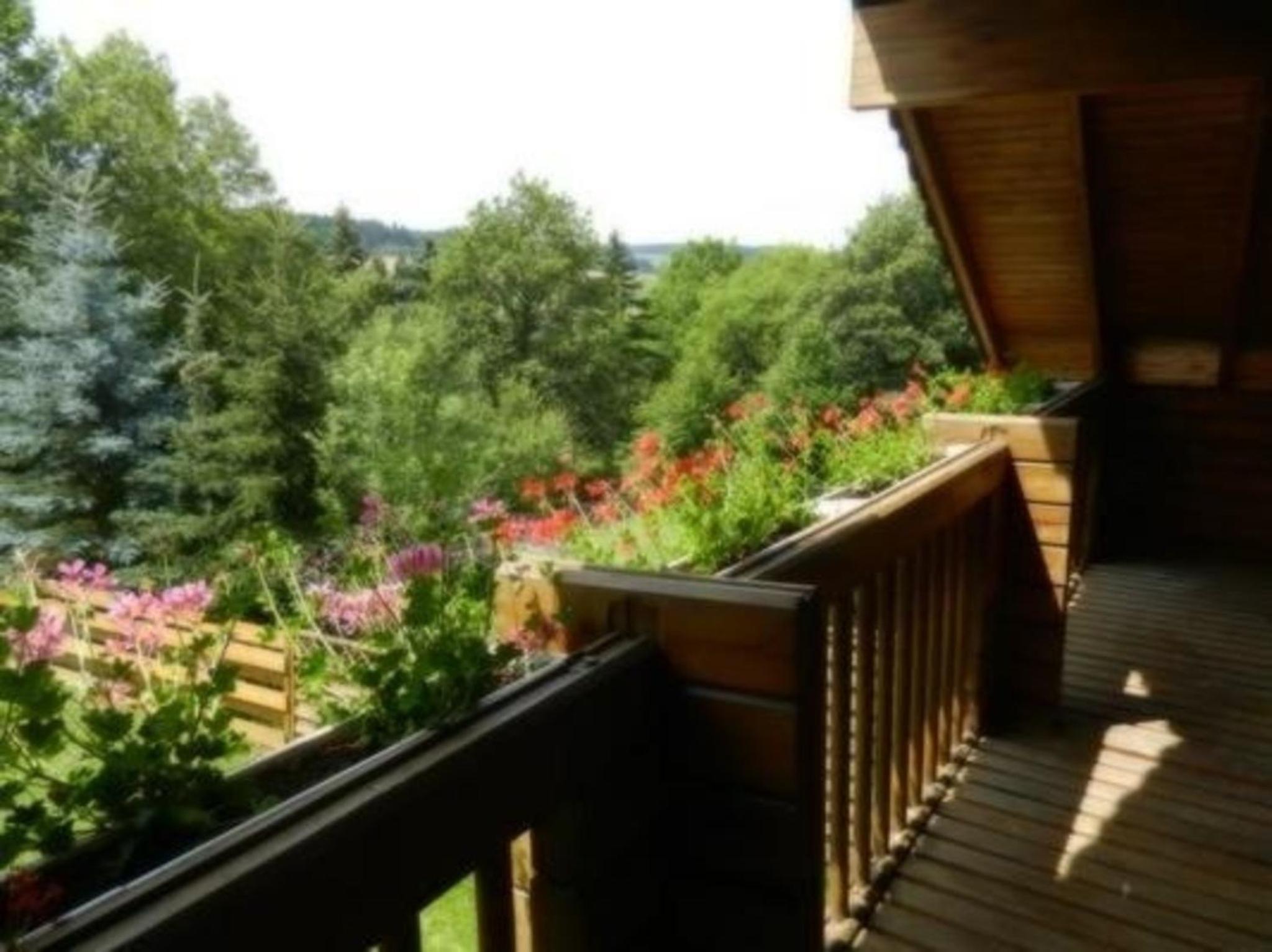 Eifelcottage Wildvogel