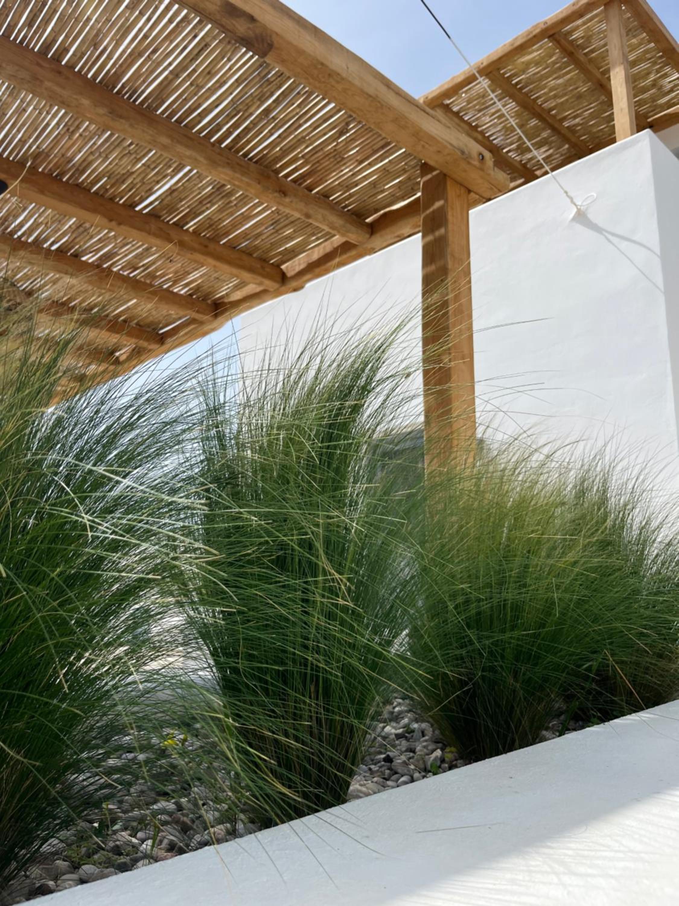 Sorokos House
