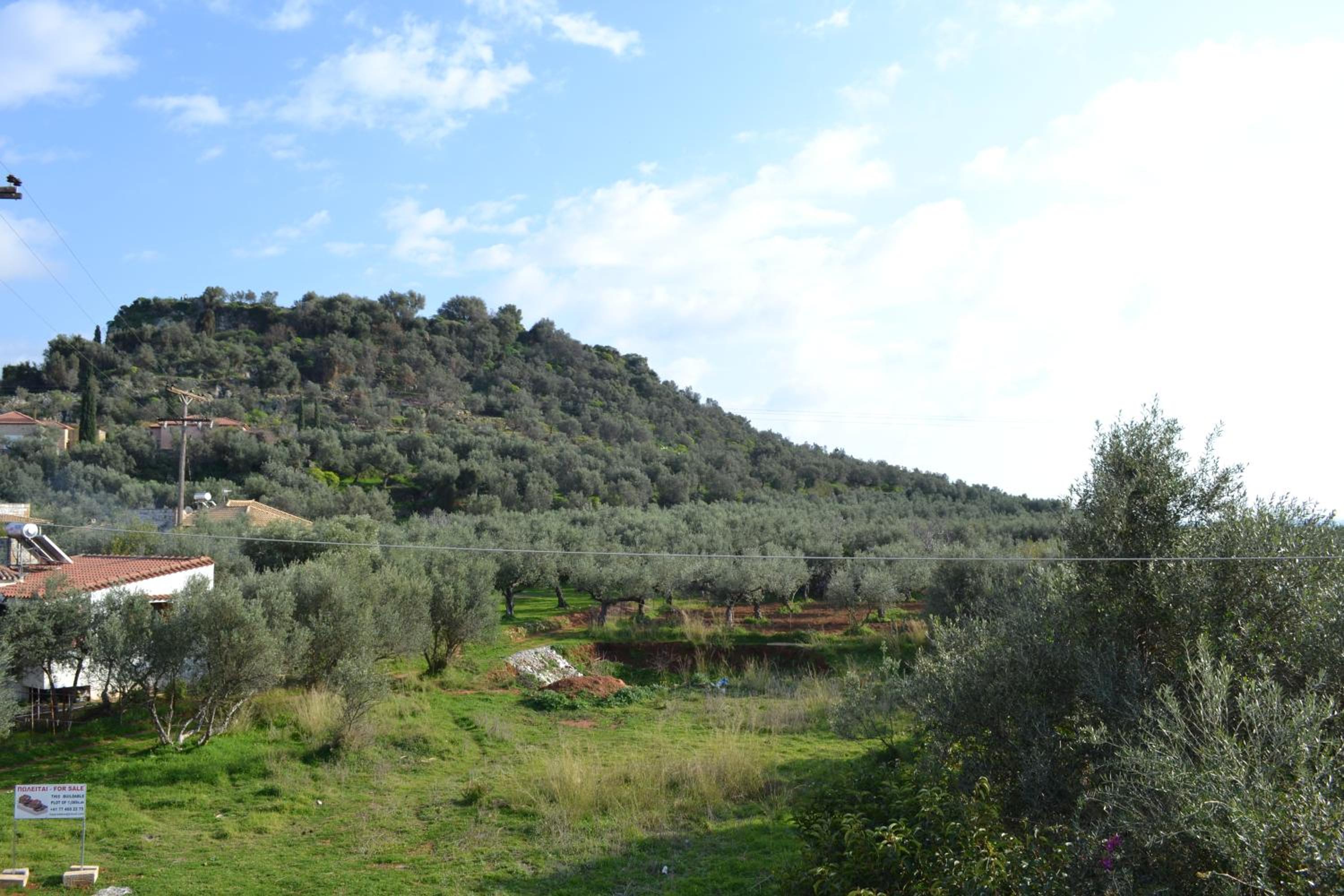 Loupino Family House