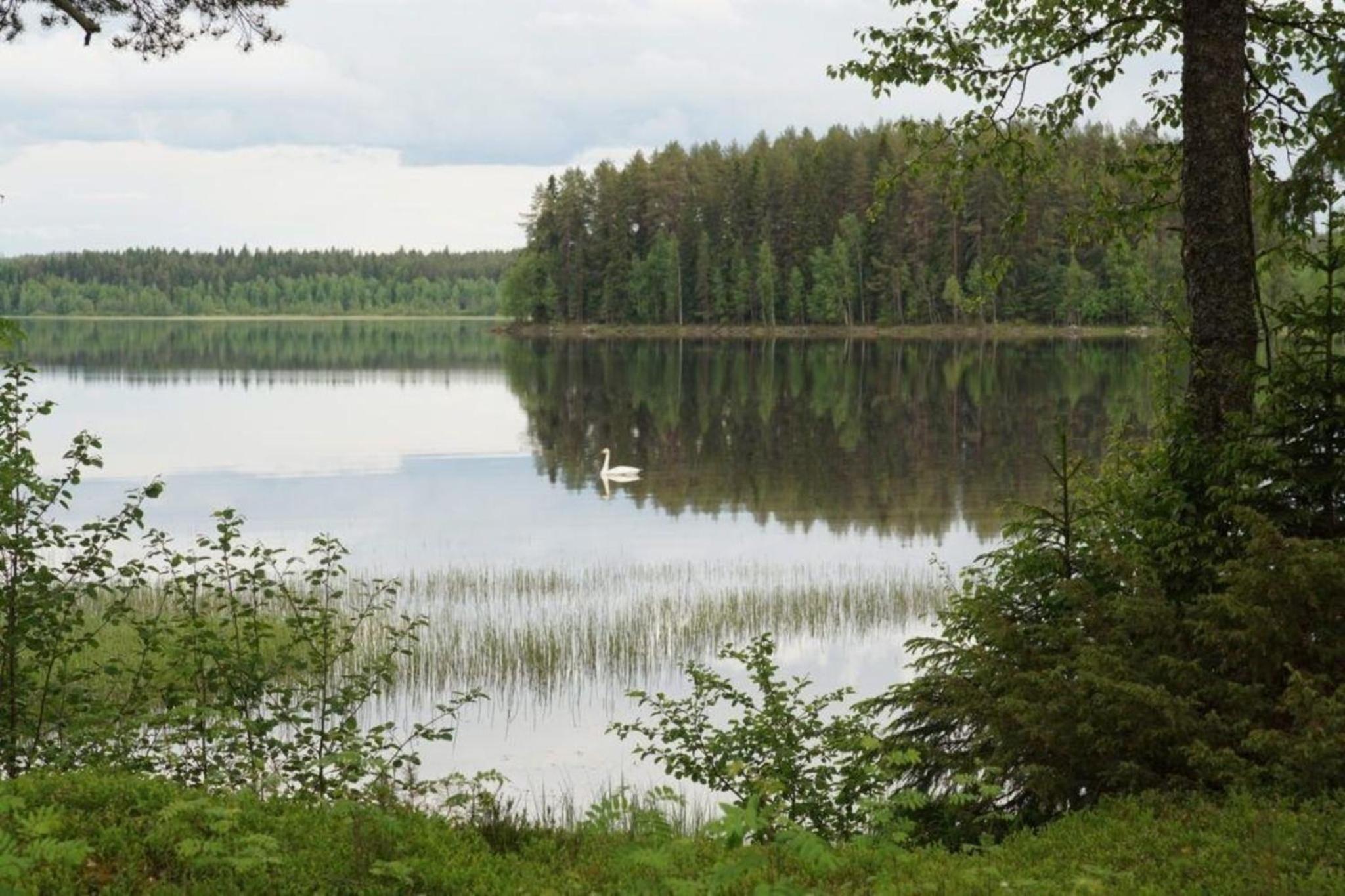 Ferienvilla mit Sauna und Garten am See