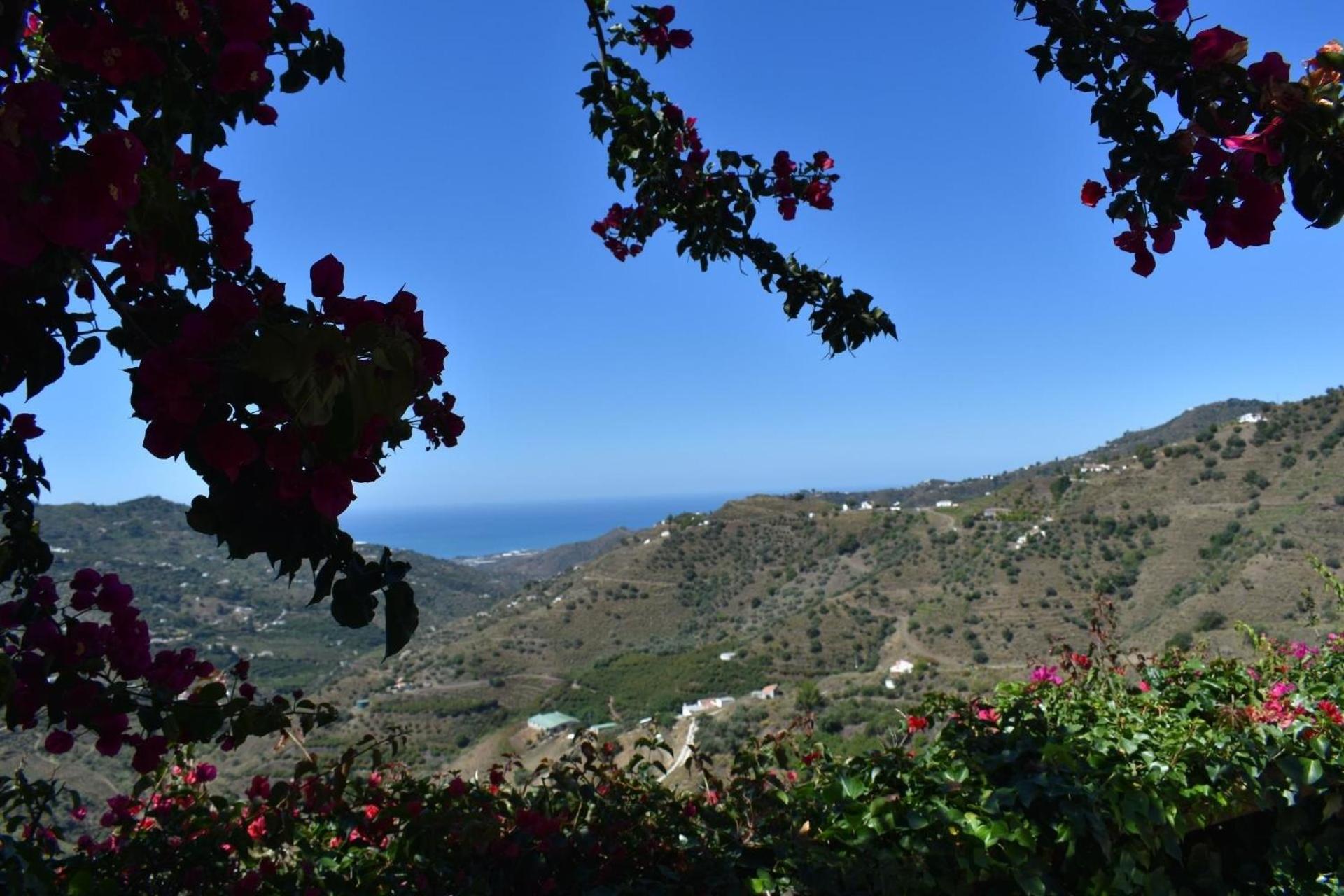 Finca Ortiz Mit Privatem Pool