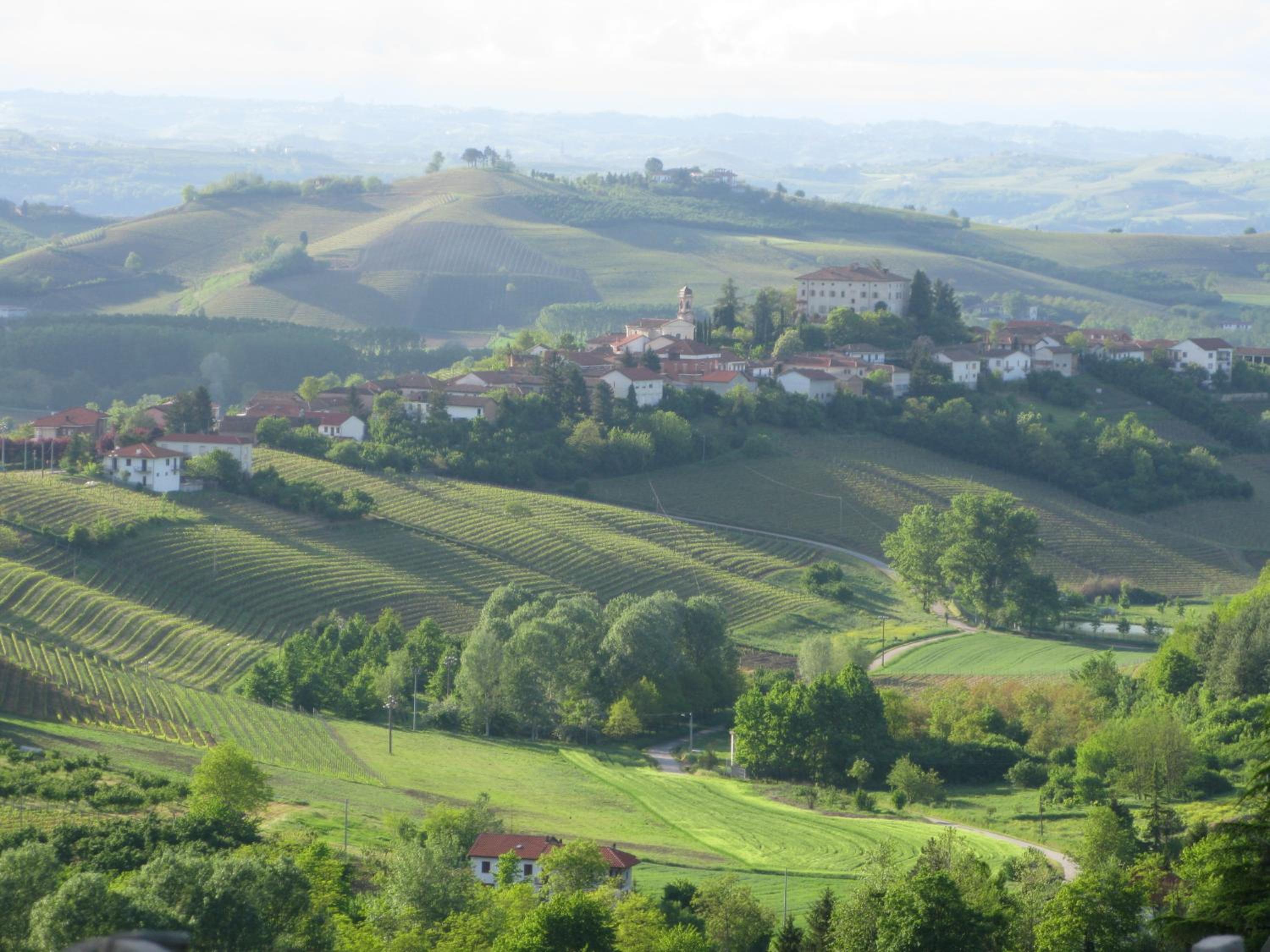 Castello di Coazzolo