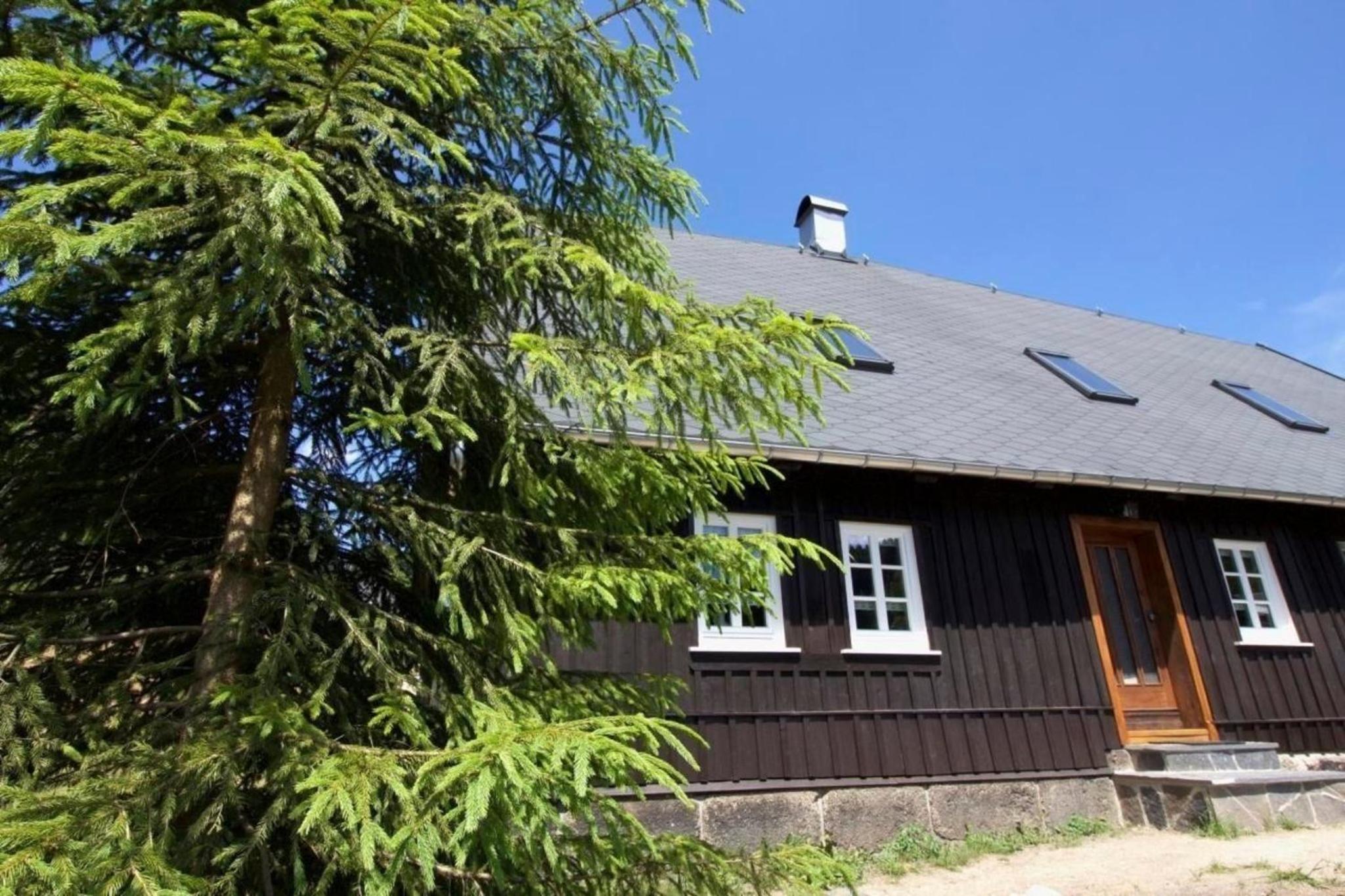 Appartement in Klingenthal mit Terrasse, Garten und Grill