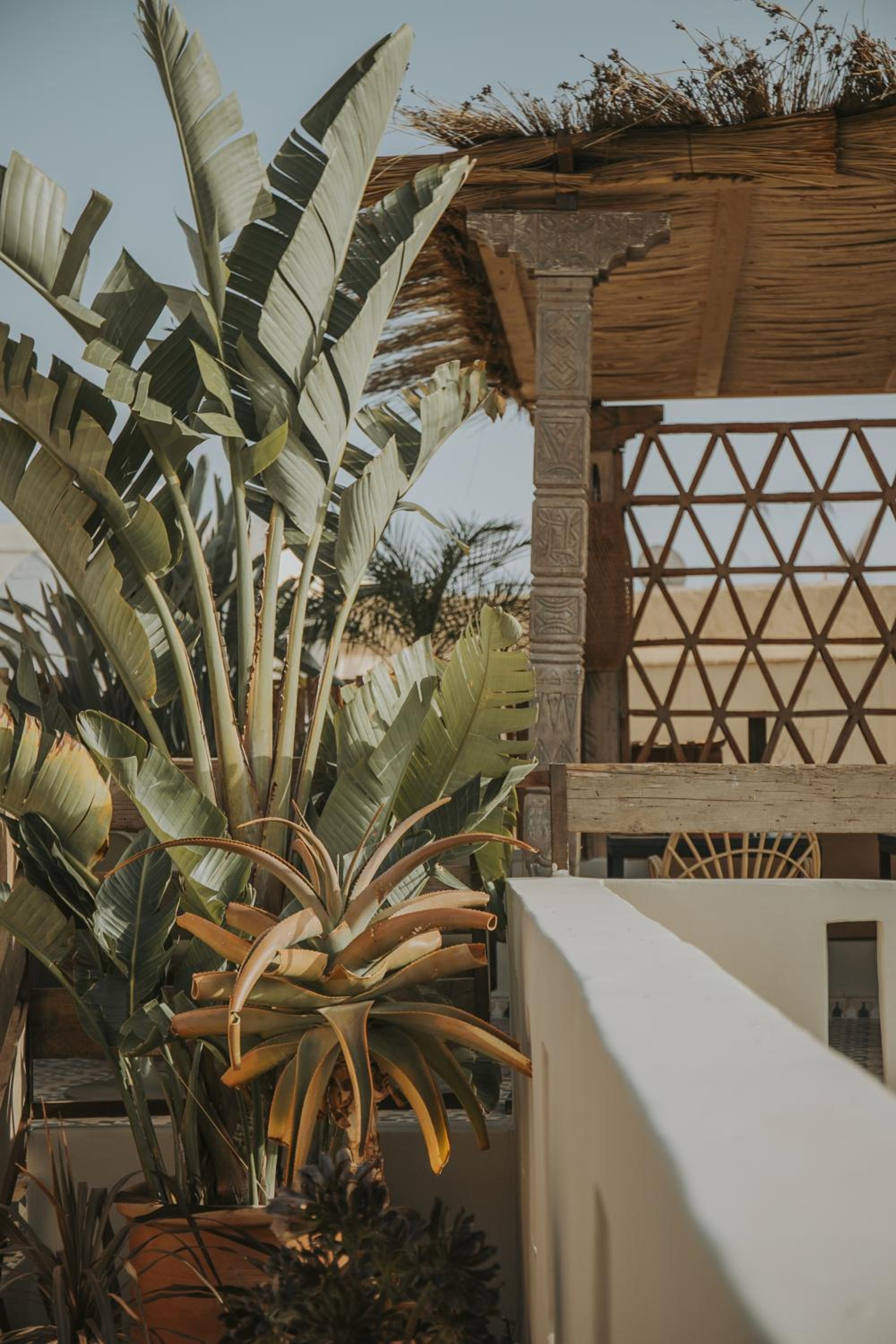 roof