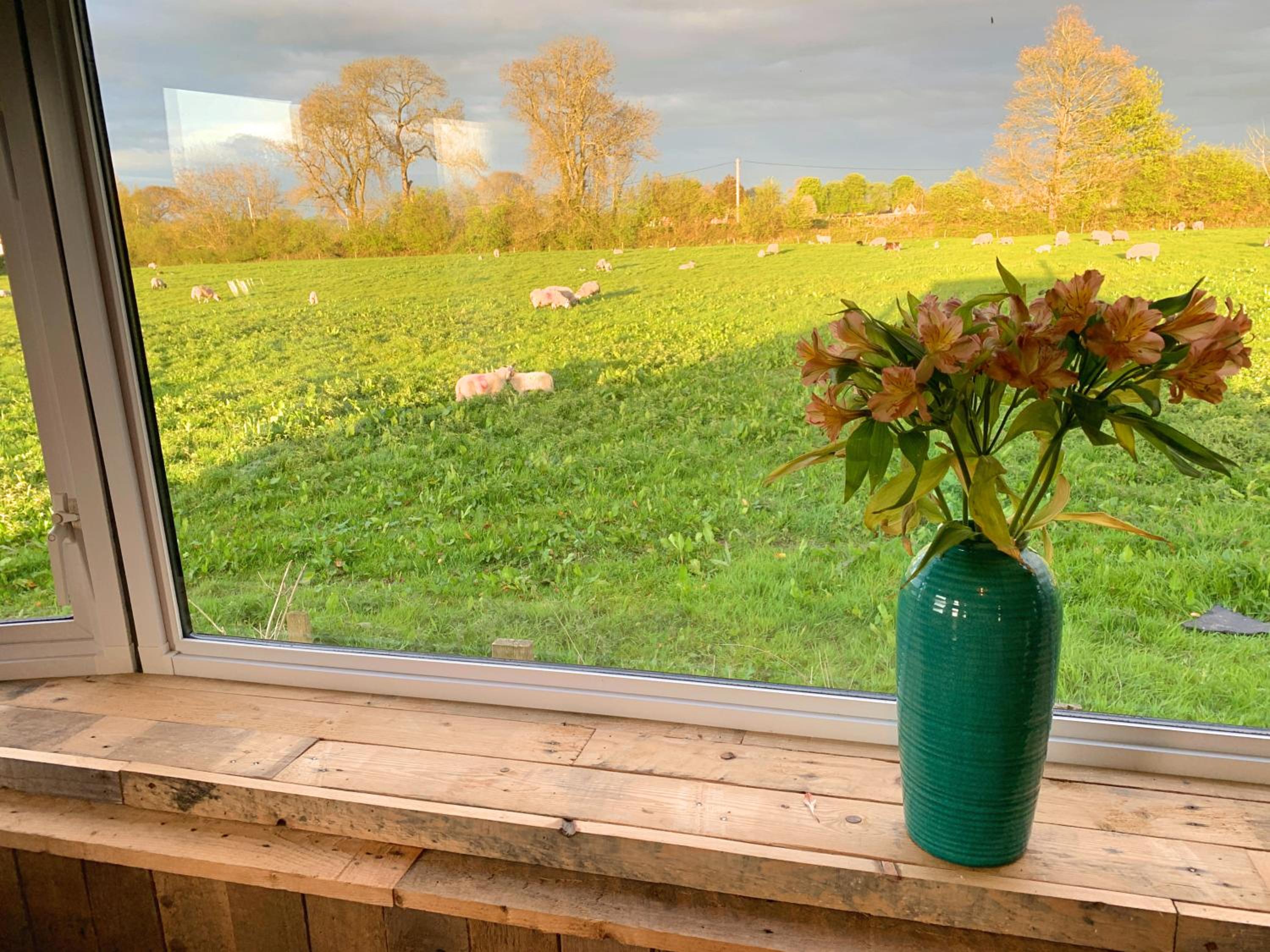 The Nest Retreat - Hot Tub & Sauna - 2 bedroom - near Glastonbury view 5