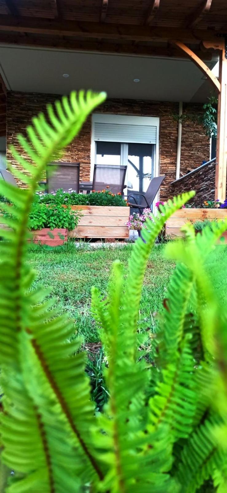Photo 48