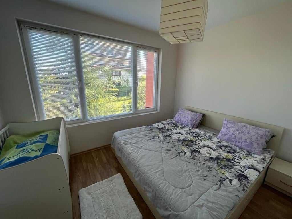 Oasis2